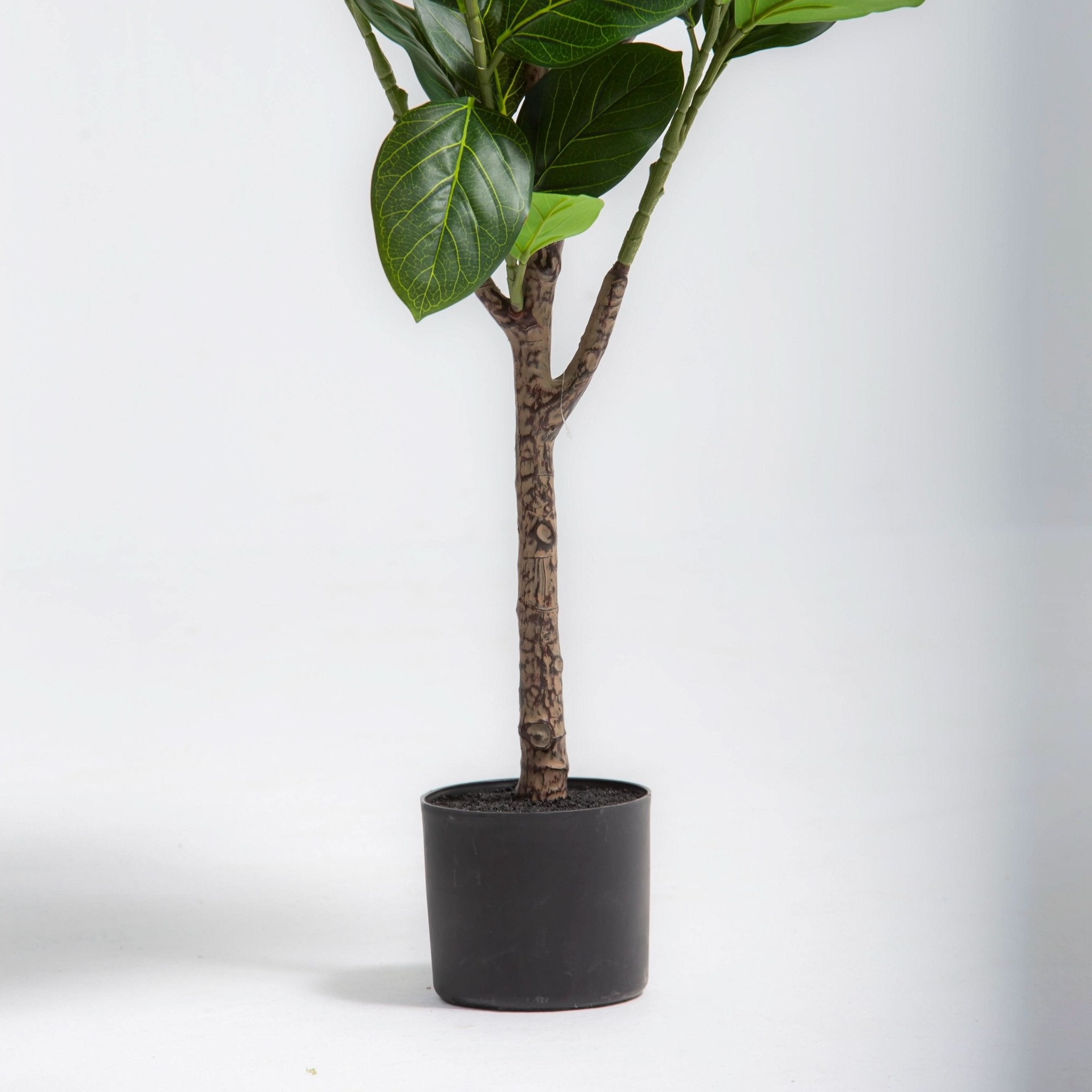ARTIFICIAL FIDDLE LEAF FIG PLANT (167CM) - Art and craft furniture