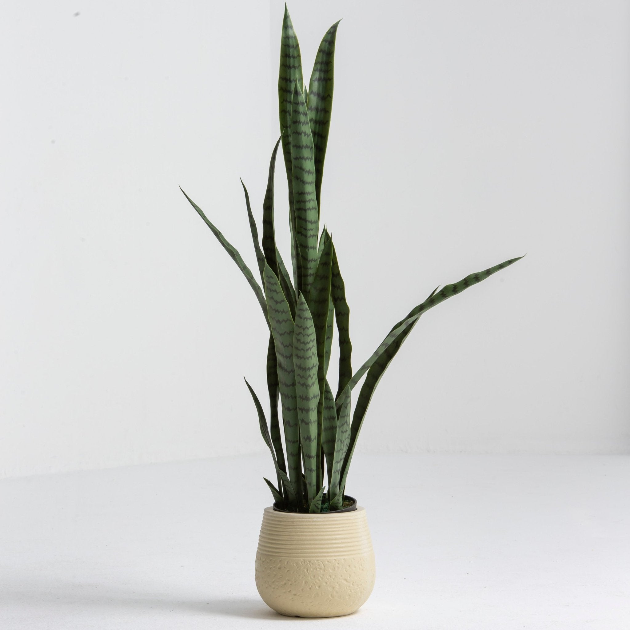 Artificial Laurentii Snake Plant - Art and craft furniture