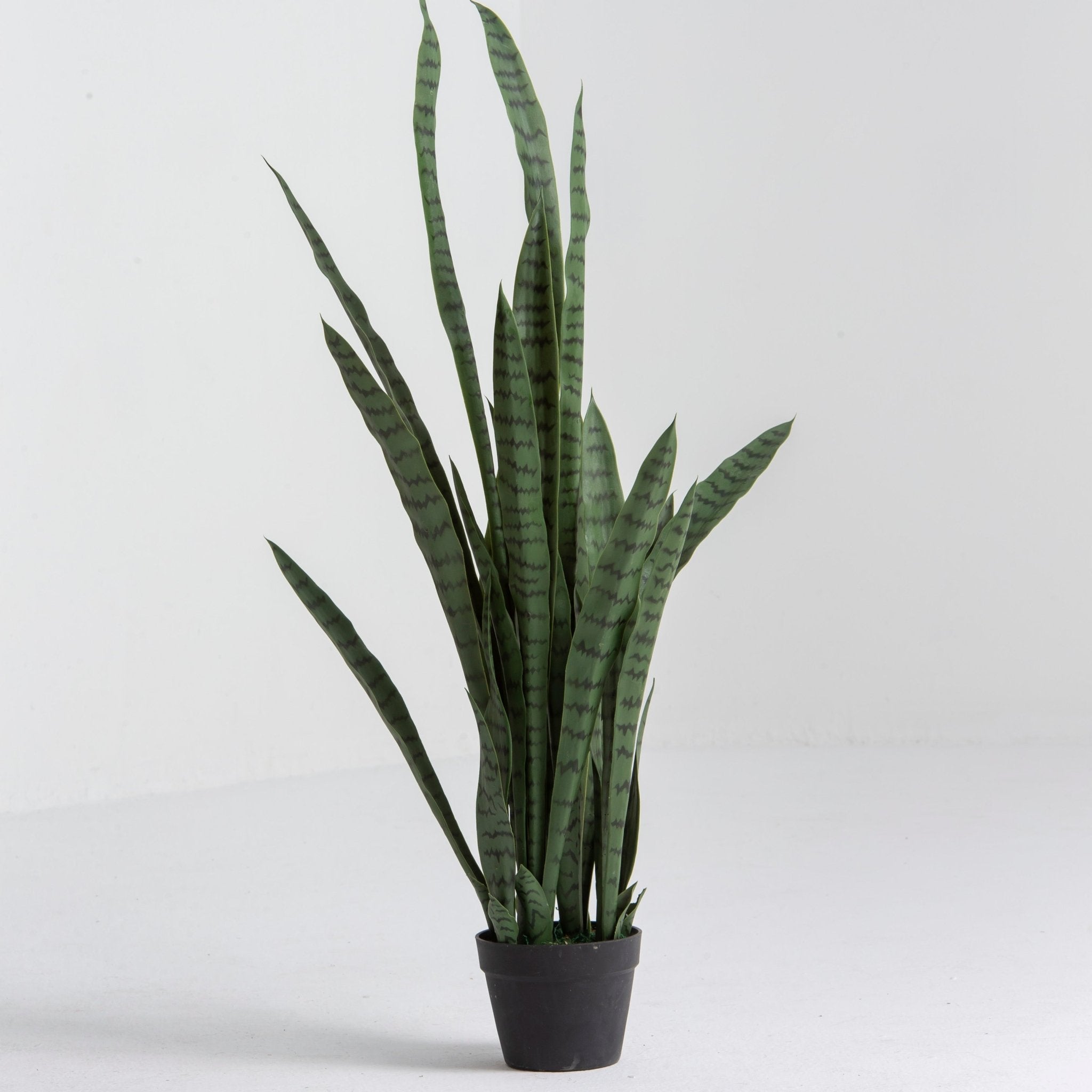 Artificial Laurentii Snake Plant - Art and craft furniture