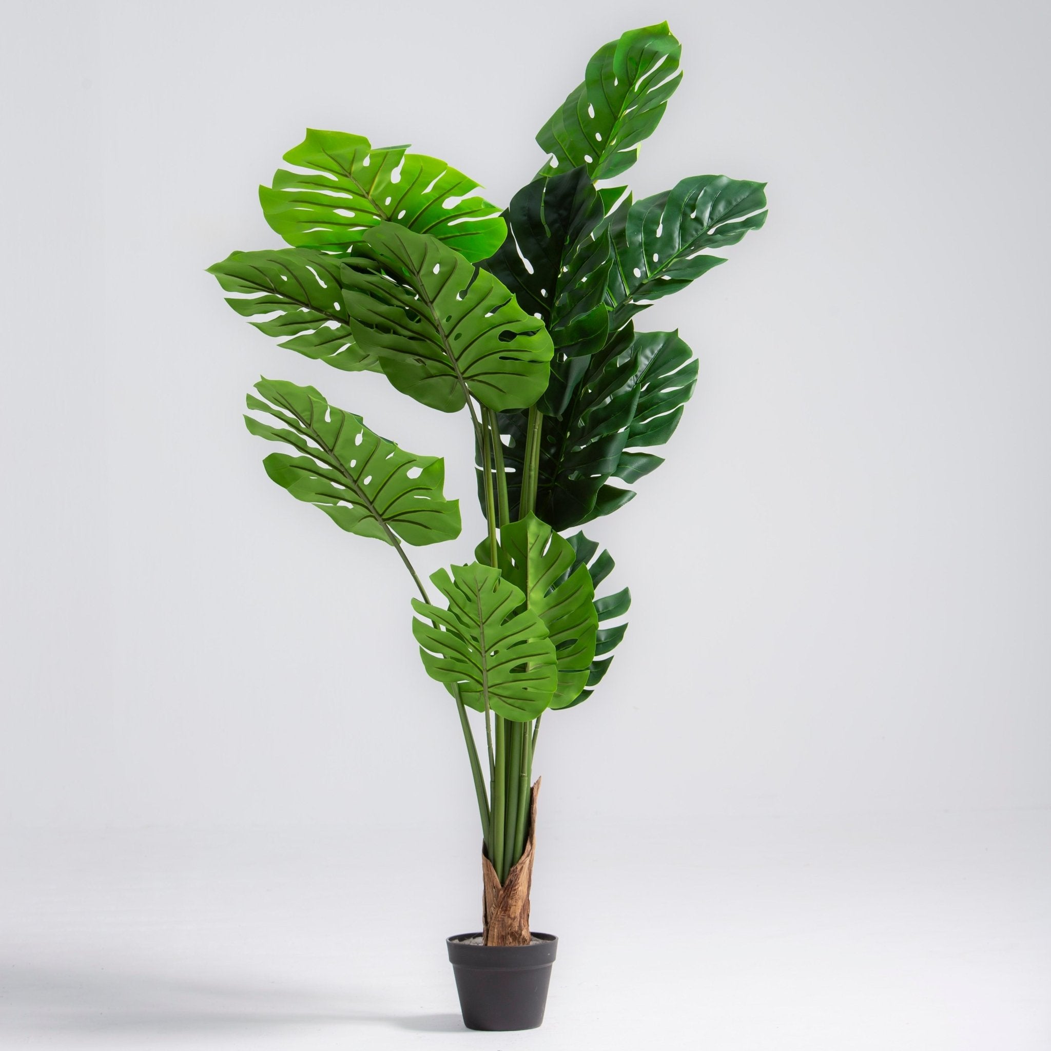 ARTIFICIAL MONSTERA PLANT (130CM) - Art and craft furniture