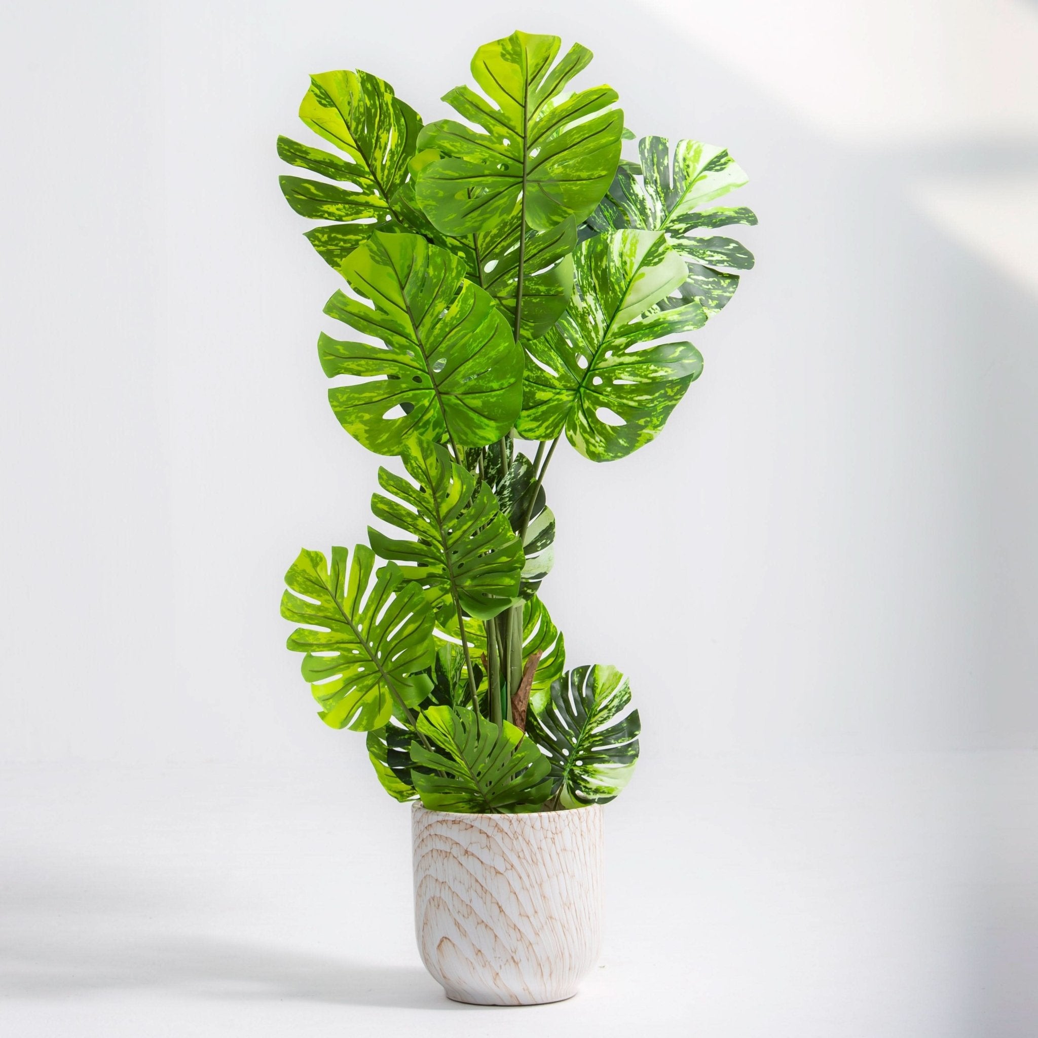ARTIFICIAL MONSTERA THAI PLANT (150CM) - Art and craft furniture