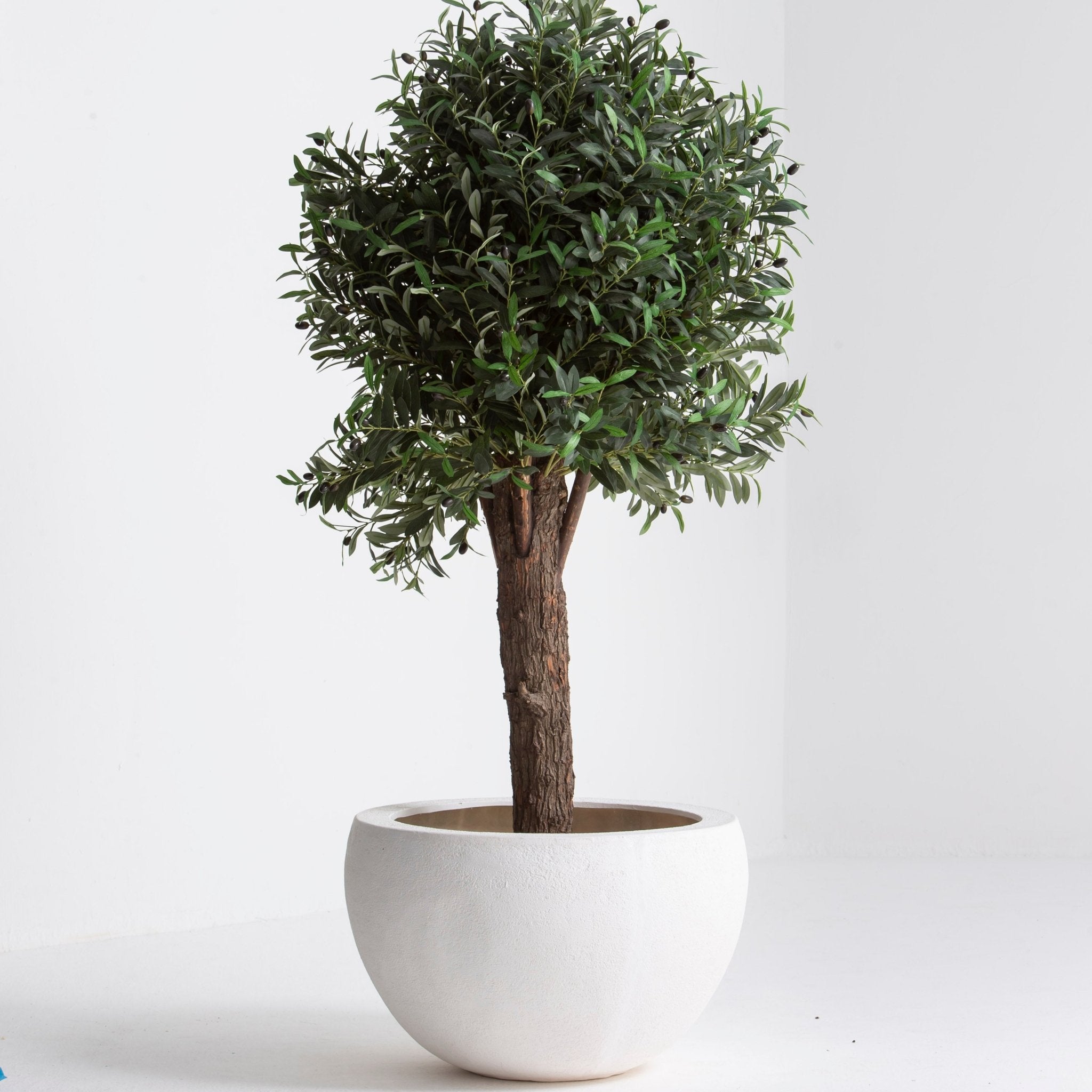 Artificial Olive Natural Trunk Plant - Art and craft furniture