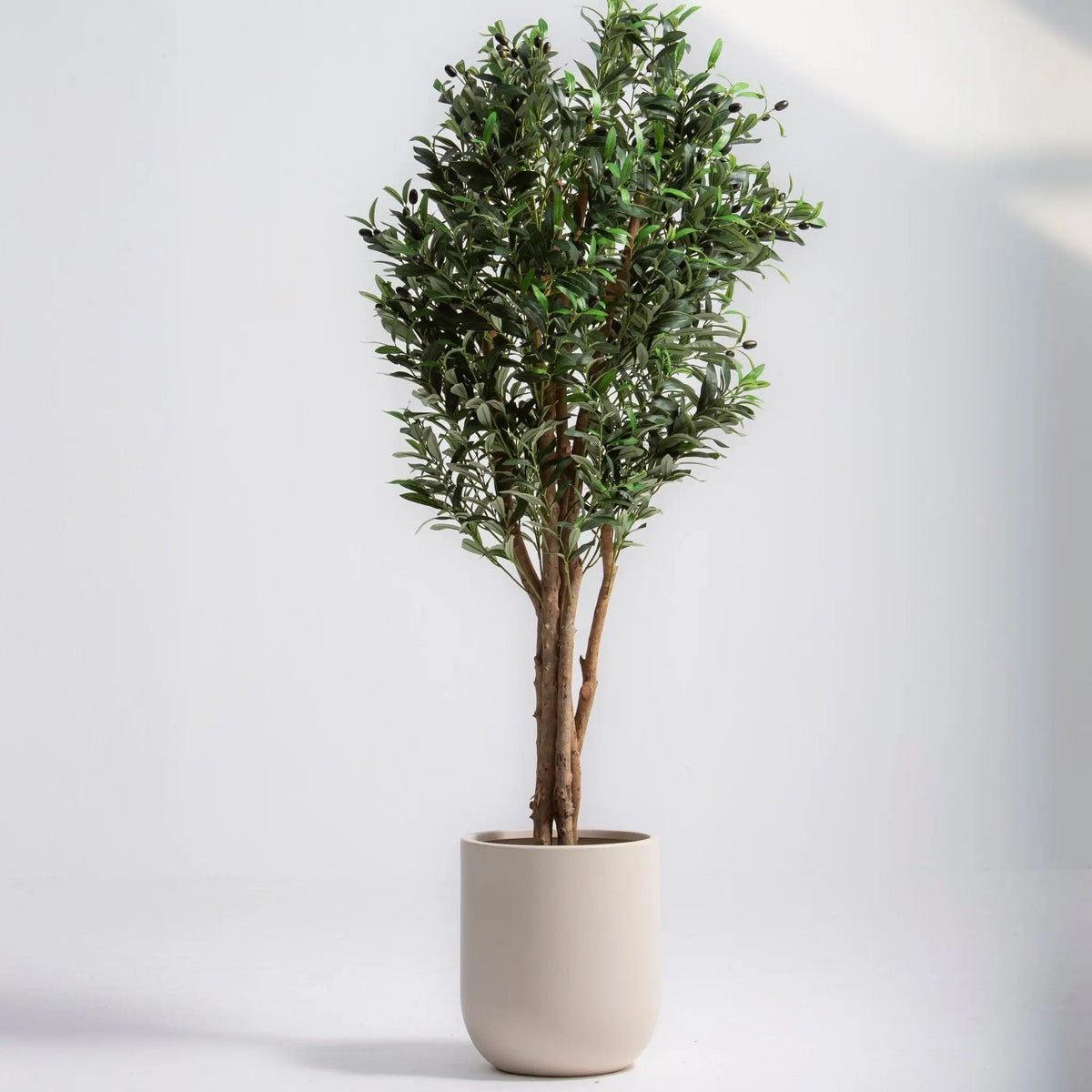 Artificial Olive Plant (150CM) - Art and craft furniture