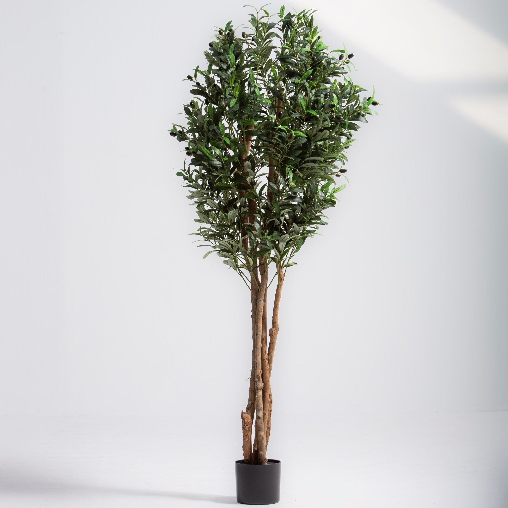 ARTIFICIAL OLIVE PLANT (150CM) - Art and craft furniture