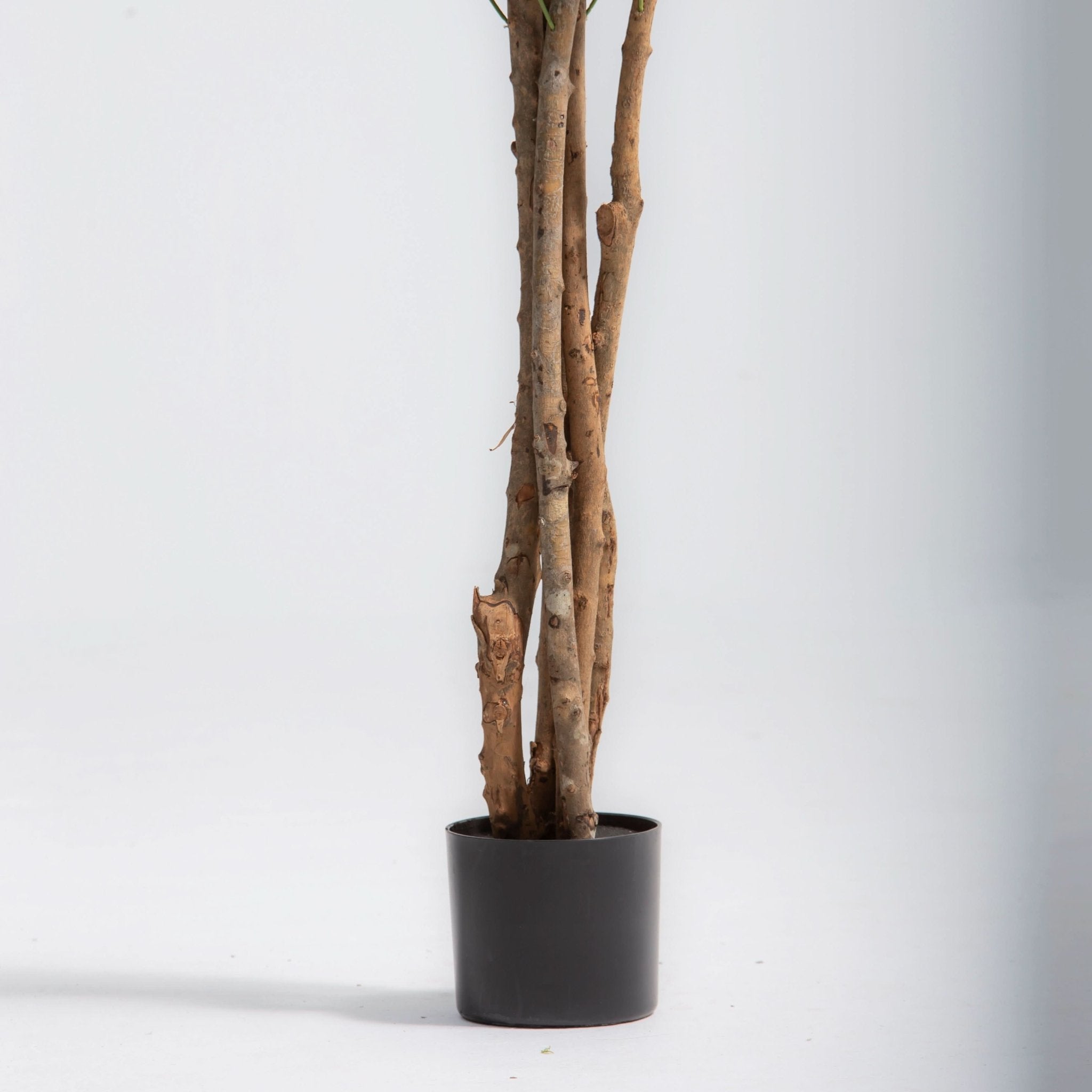 ARTIFICIAL OLIVE PLANT (210 CM) - Art and craft furniture