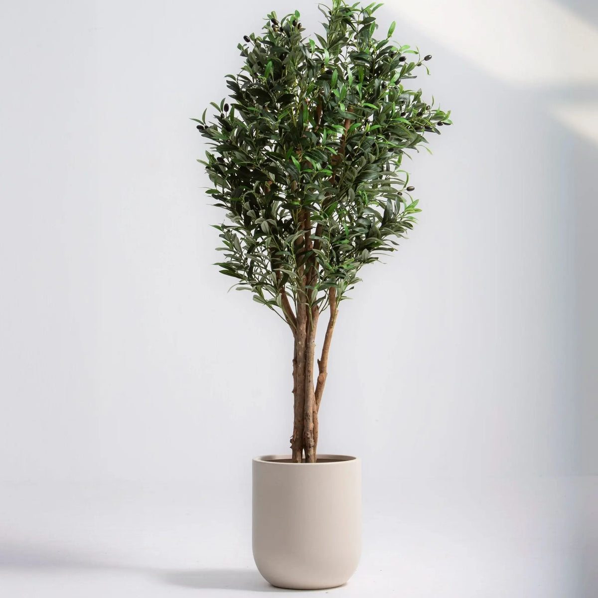 Artificial Olive Plant (210CM) - Art and craft furniture