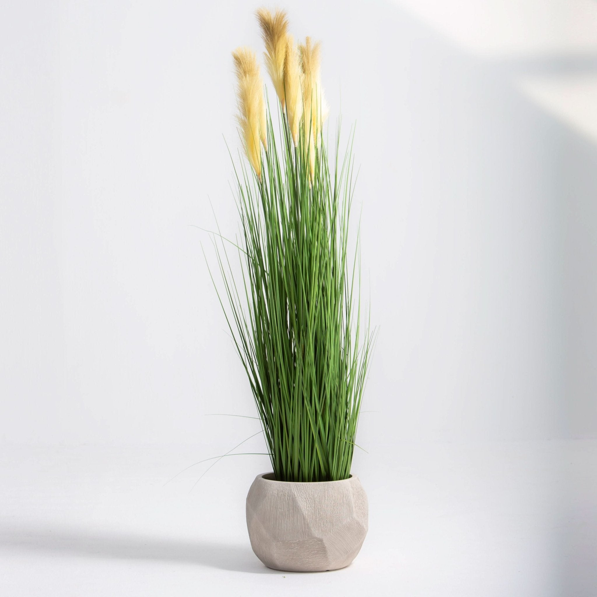 ARTIFICIAL PAMPAS GRASS PLANT (150CM) - Art and craft furniture
