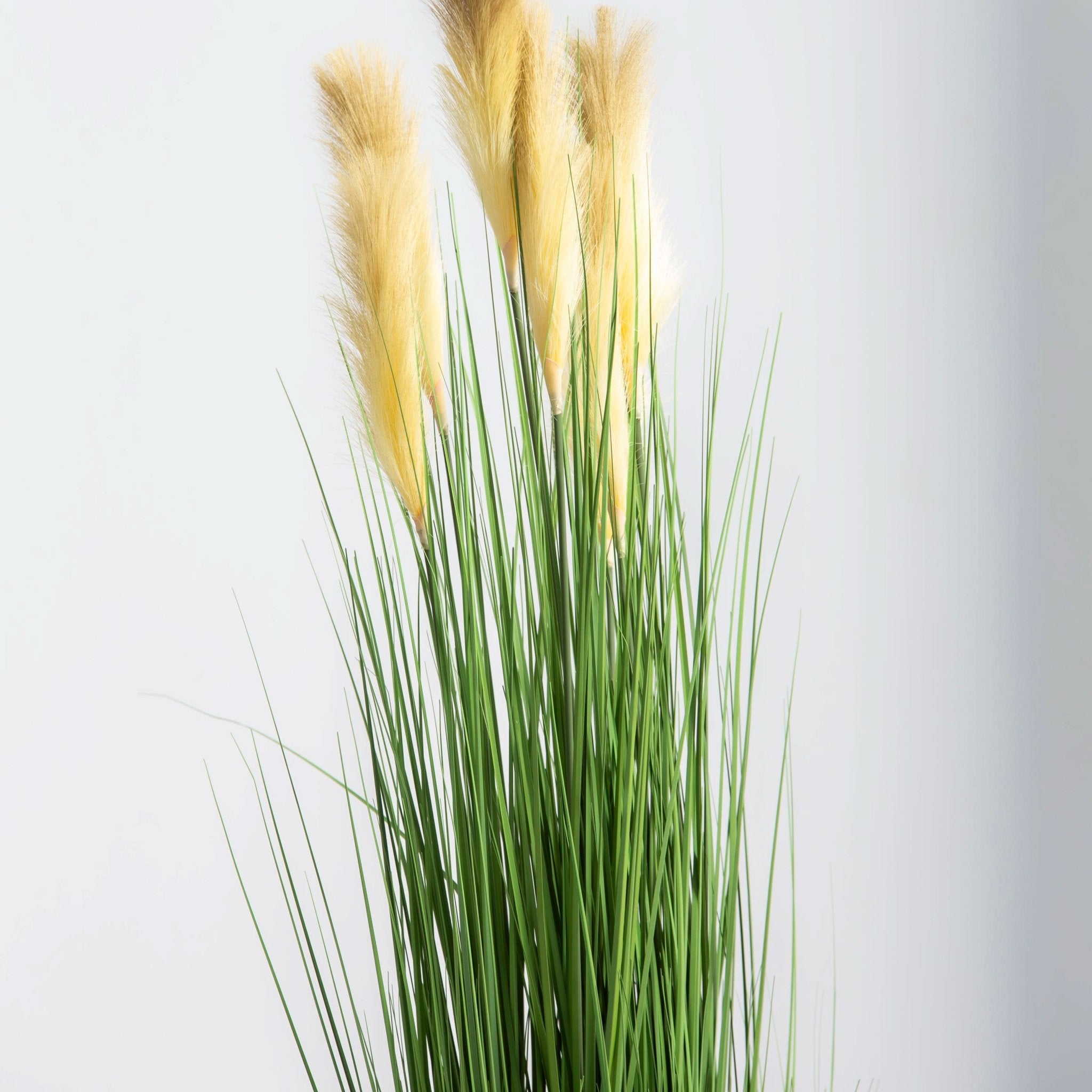 ARTIFICIAL PAMPAS GRASS PLANT (150CM) - Art and craft furniture