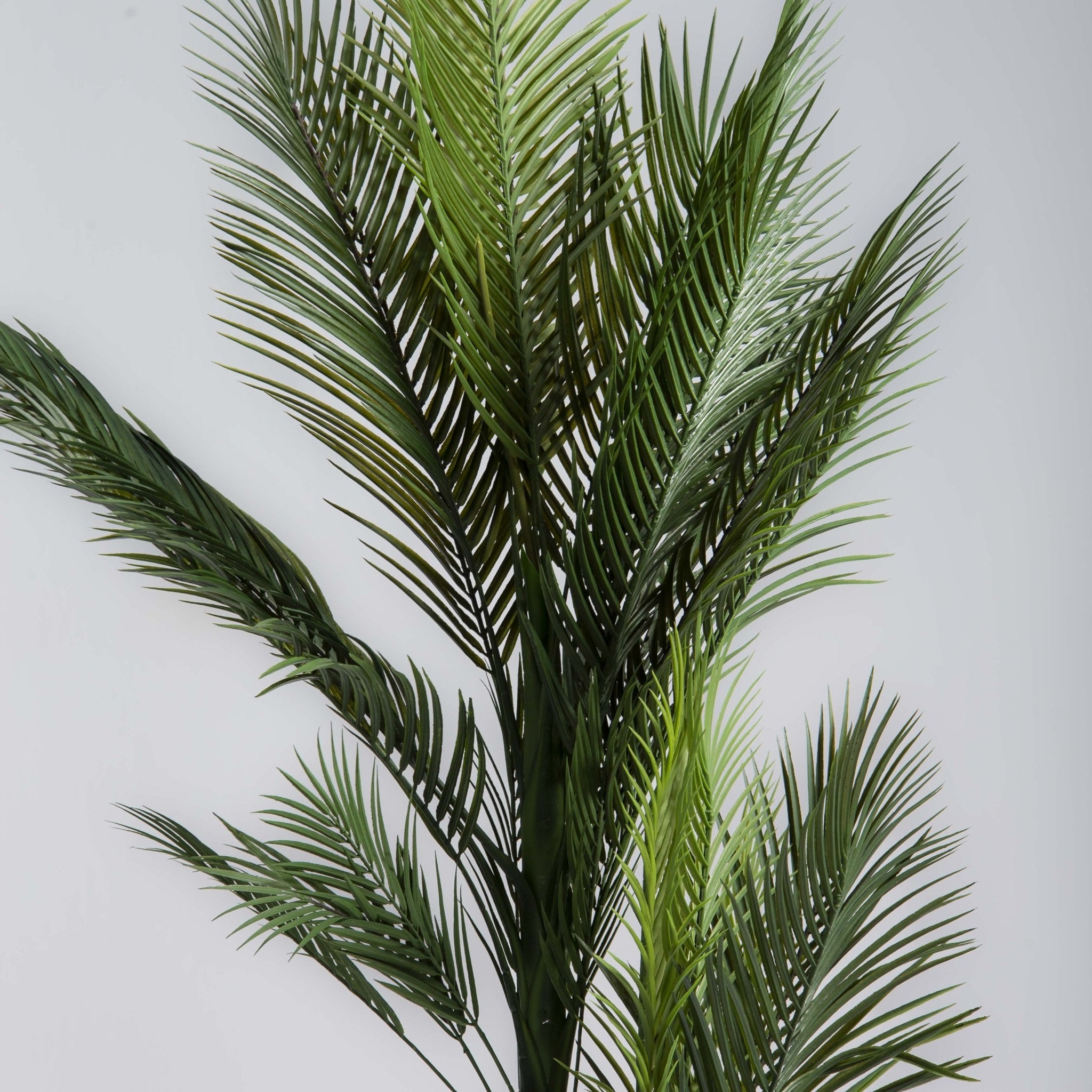 ARTIFICIAL PHOENIX DATE PALM PLANT (180CM) - Art and craft furniture