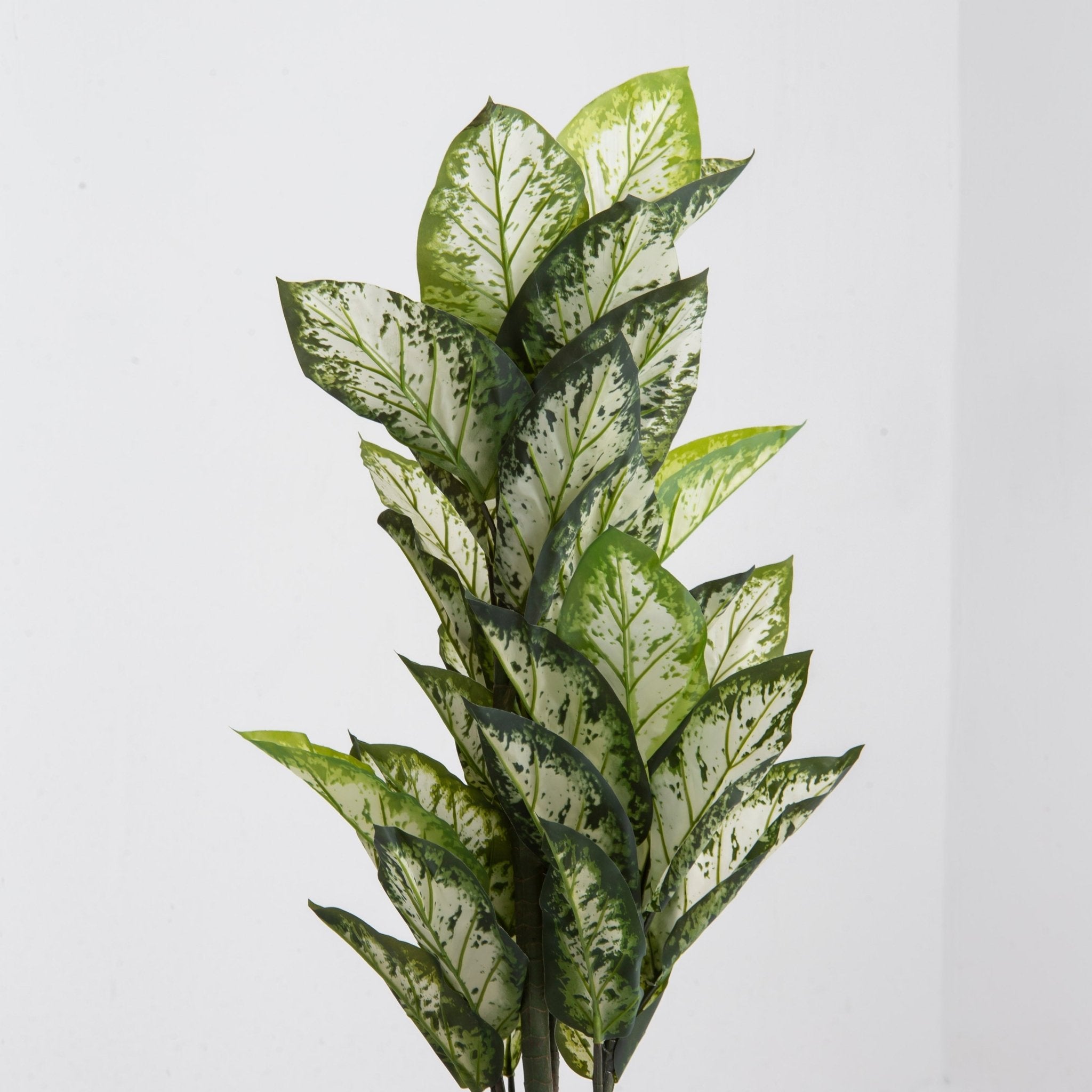 Artificial Potted Calathea Plant - Art and craft furniture