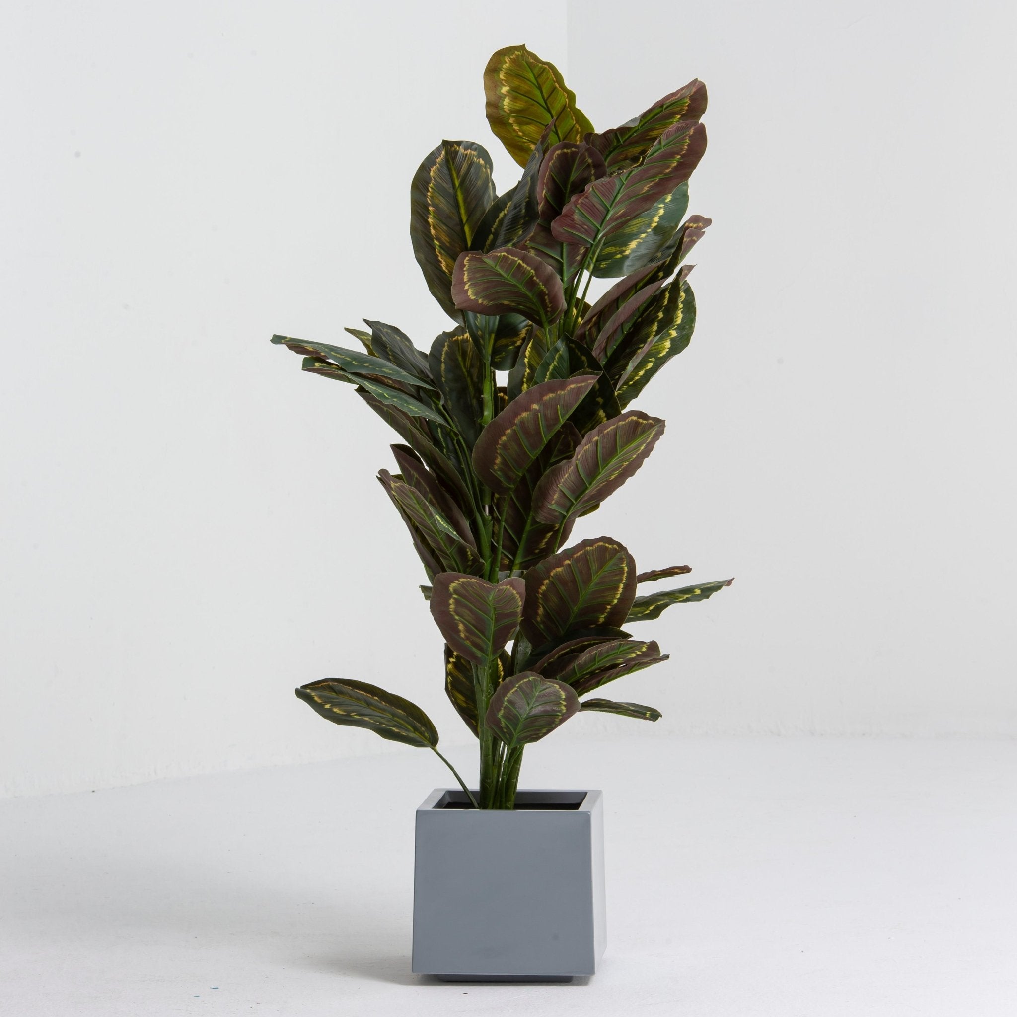 Artificial Potted Calathea Plant - Art and craft furniture