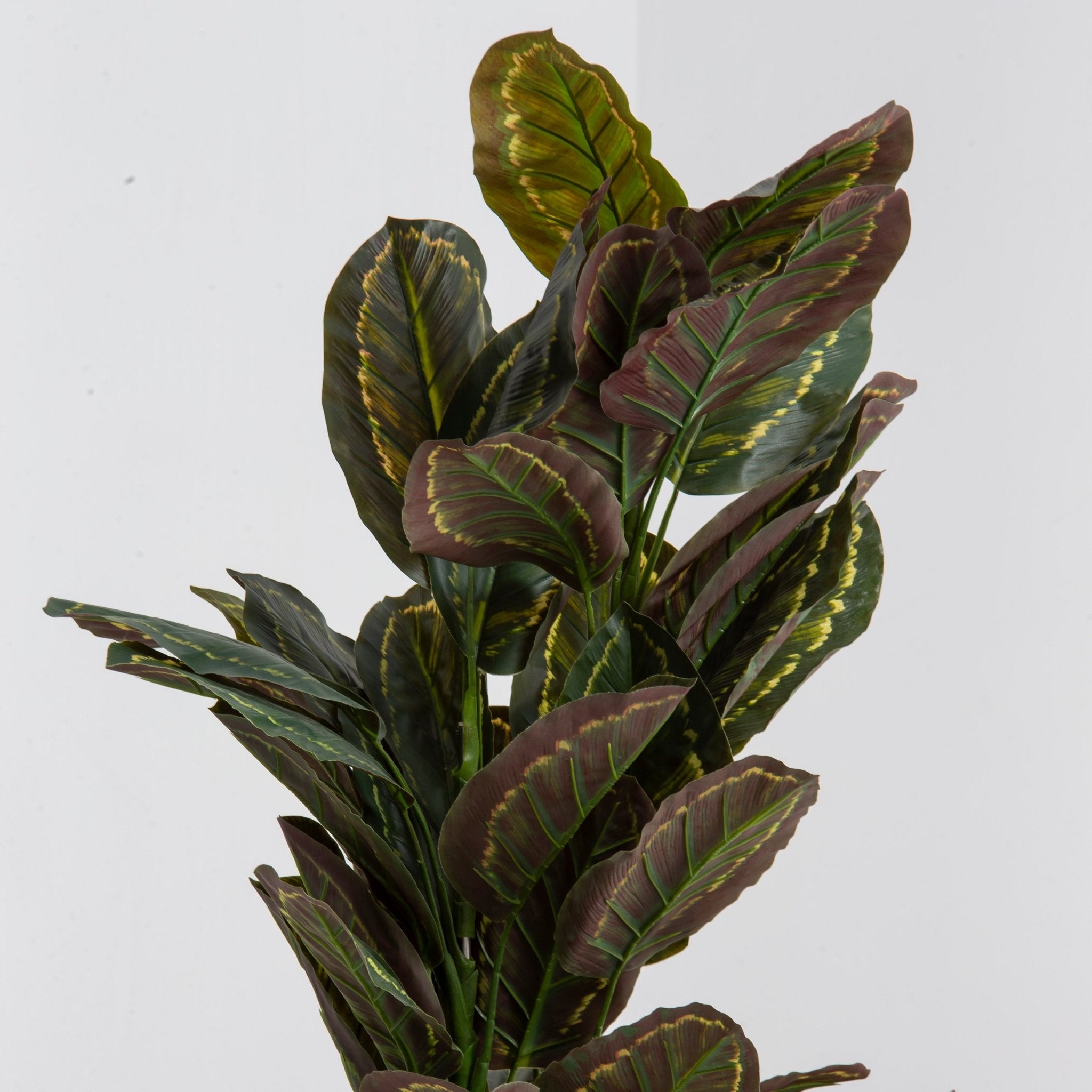 Artificial Potted Calathea Plant - Art and craft furniture