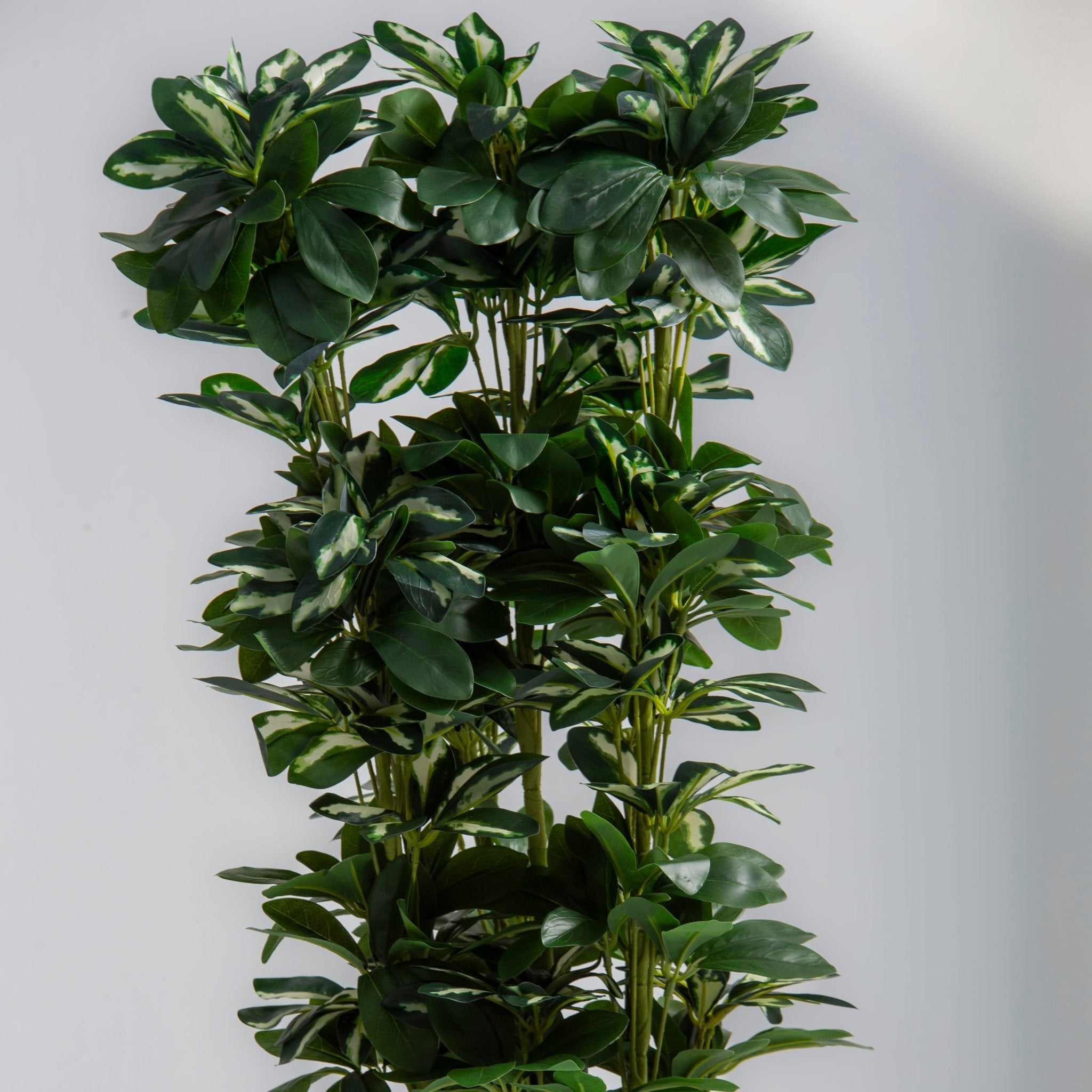 ARTIFICIAL SCHEFFLERA TRINETTE PLANT (120 CM) - Art and craft furniture