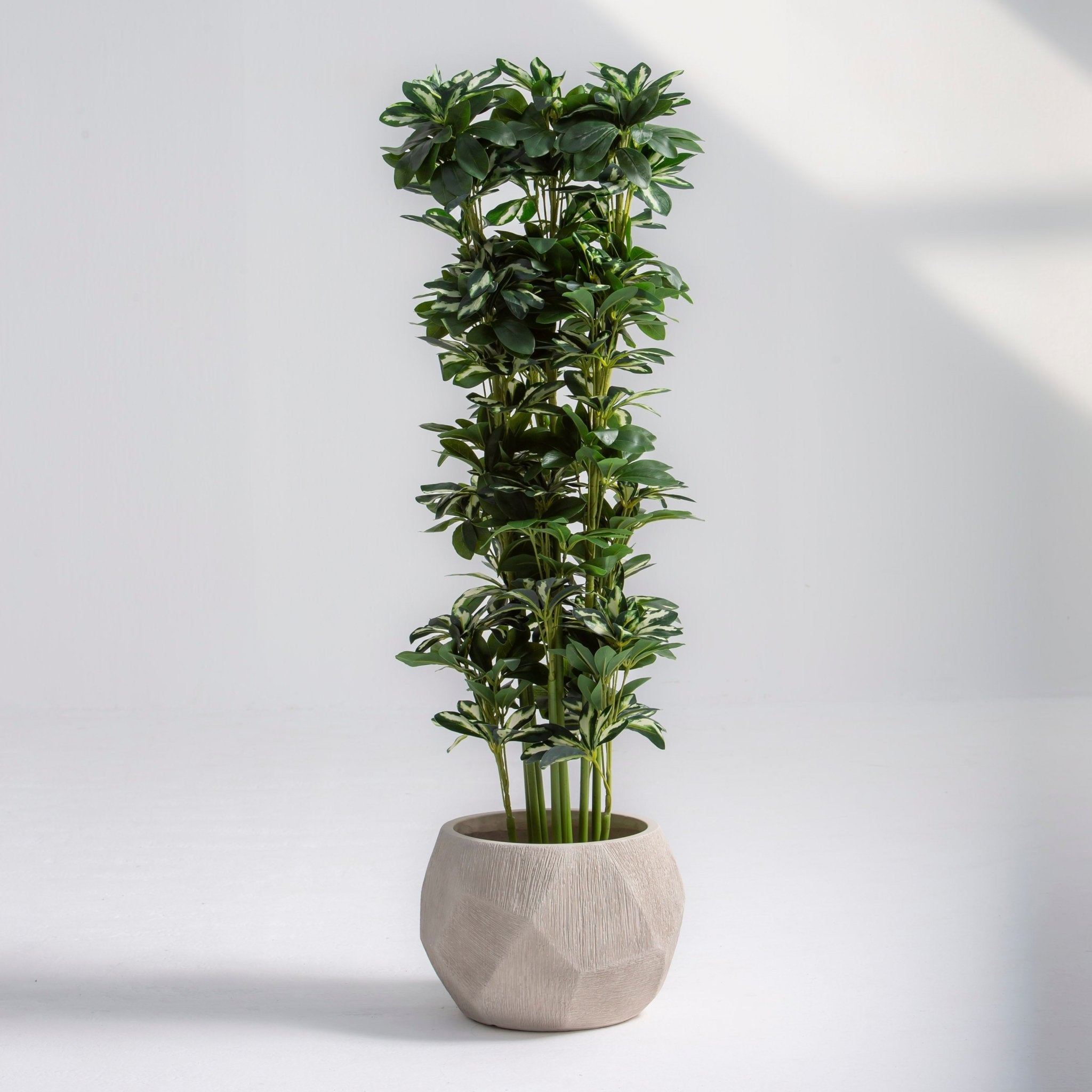 ARTIFICIAL SCHEFFLERA TRINETTE PLANT (120 CM) - Art and craft furniture