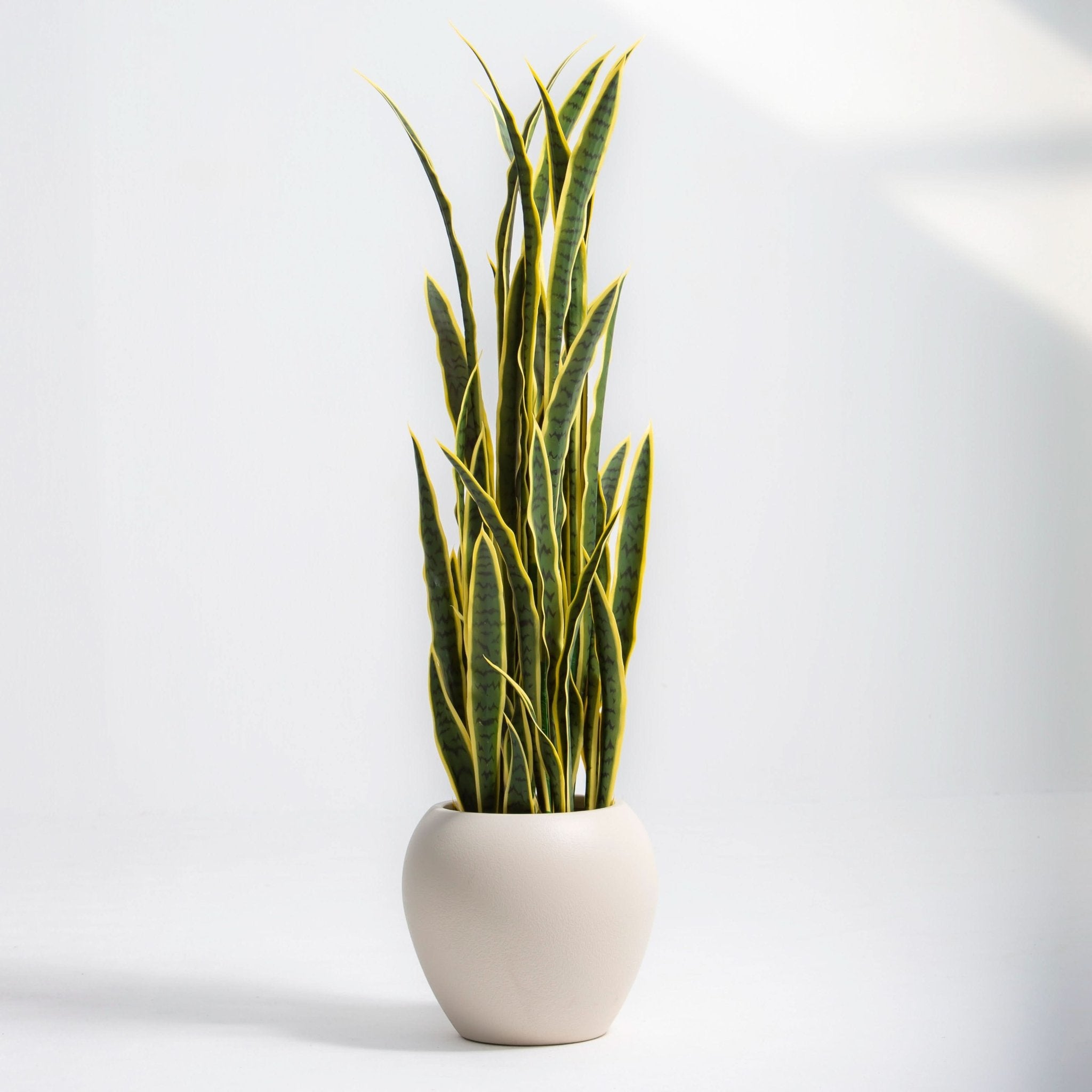 ARTIFICIAL SNAKE PLANT (150CM) - Art and craft furniture
