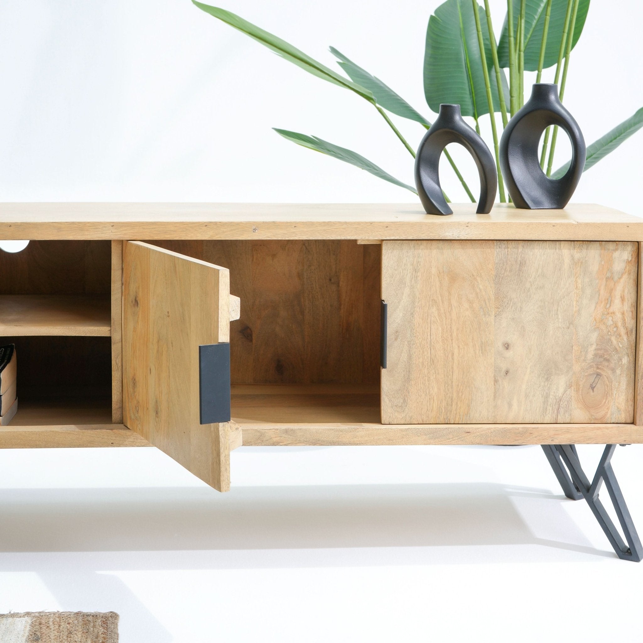AVENUE TWO DOOR TWO DRAWER TV STAND - Art and craft furniture