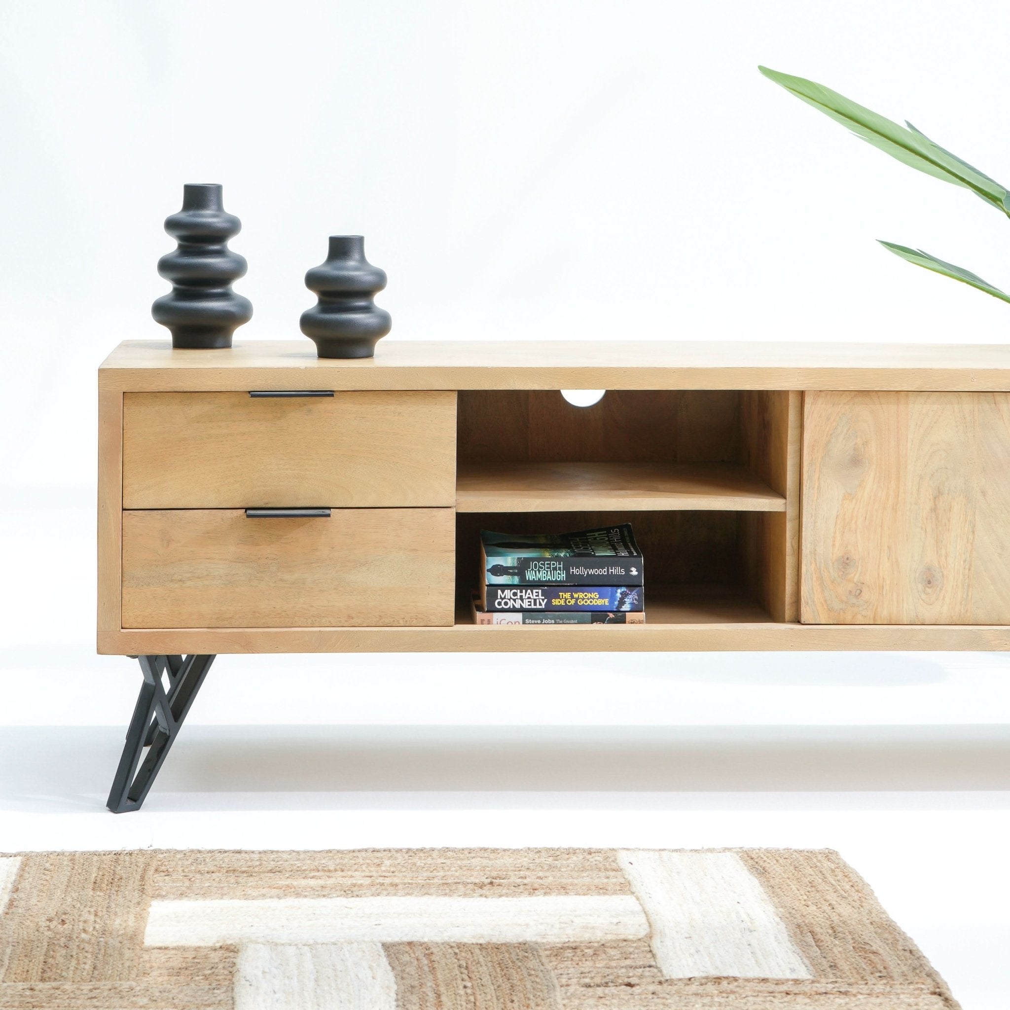 AVENUE TWO DOOR TWO DRAWER TV STAND - Art and craft furniture