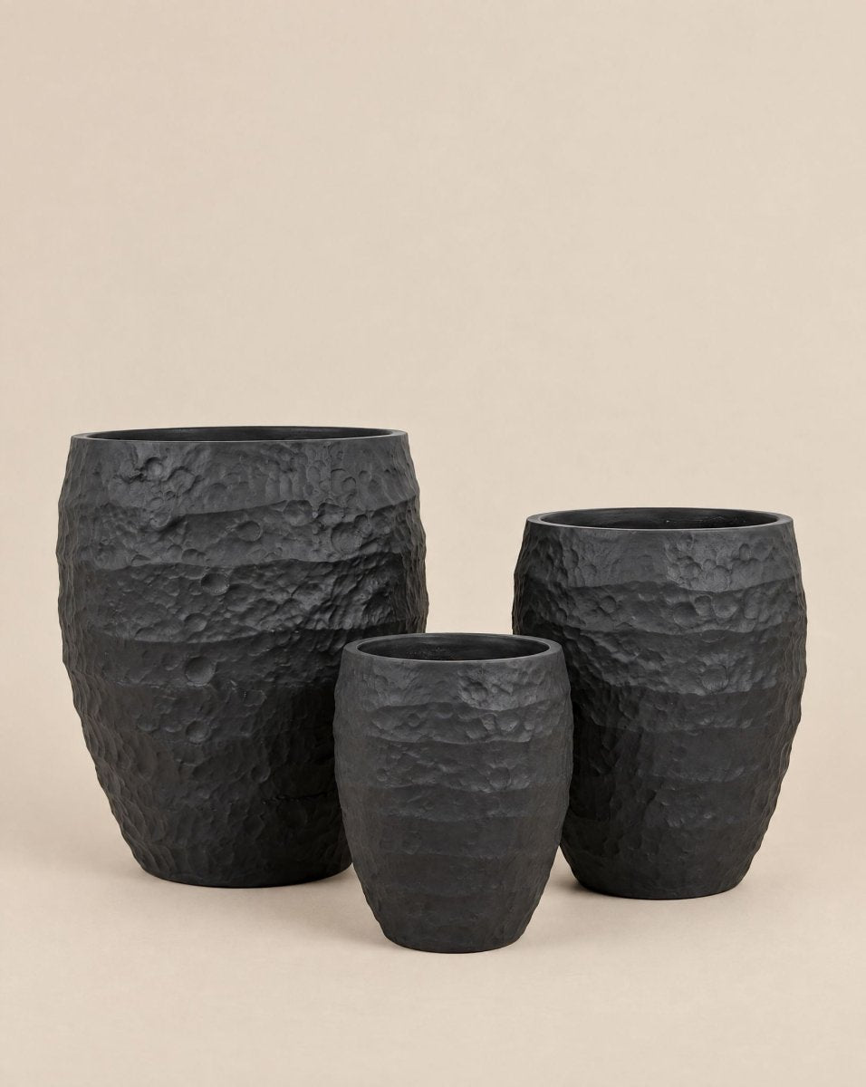 Botanova Black Fiber Pot - Art and craft furniture