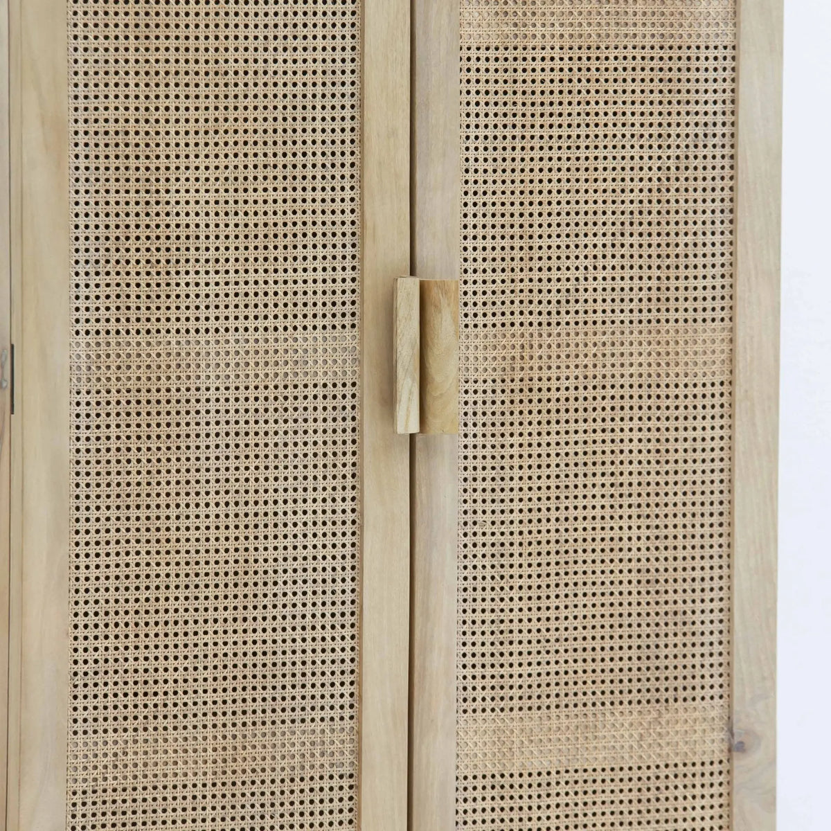 Canova Rattan Mango Wood Two Door Cabinet - Art and craft furniture