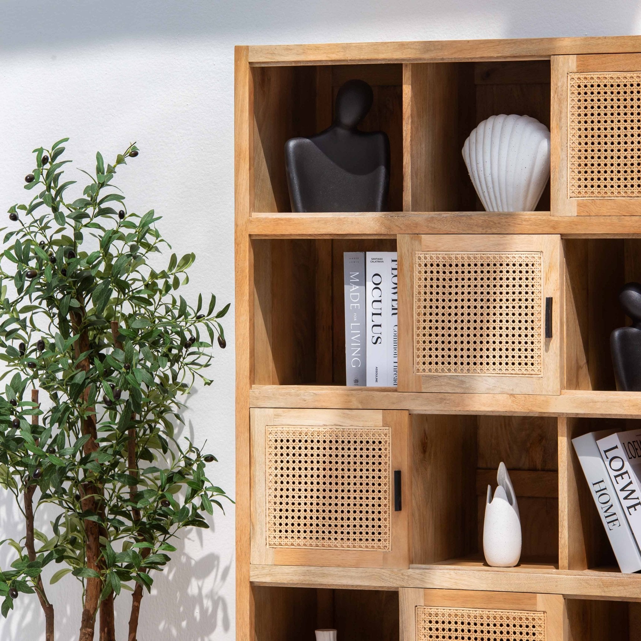 CANOVIA CANE FIVE DOOR BOOKSHELF - Art and craft furniture