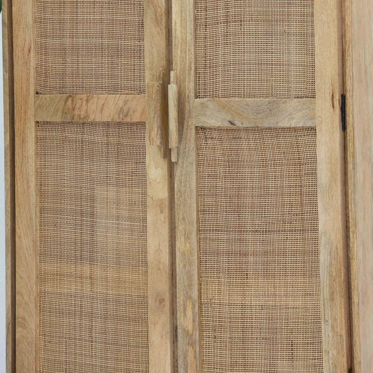 Evora Rattan Mango Wood Cabinet - Art and craft furniture