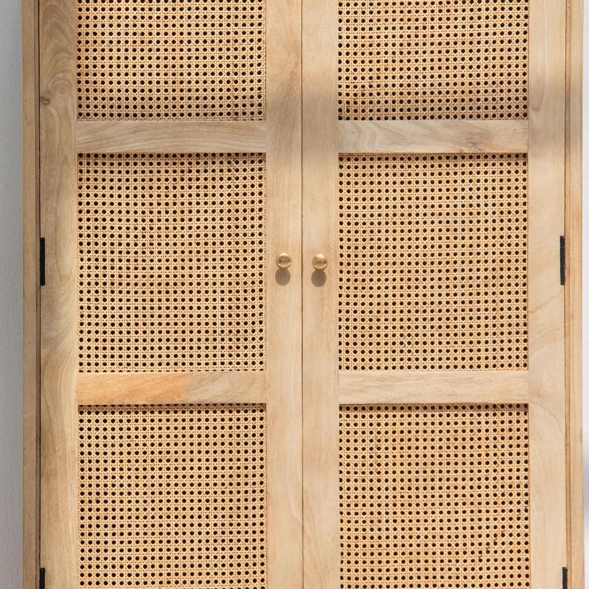 CANOVIA TWO DOOR TWO DRAWER CANE CABINET - Art and craft furniture
