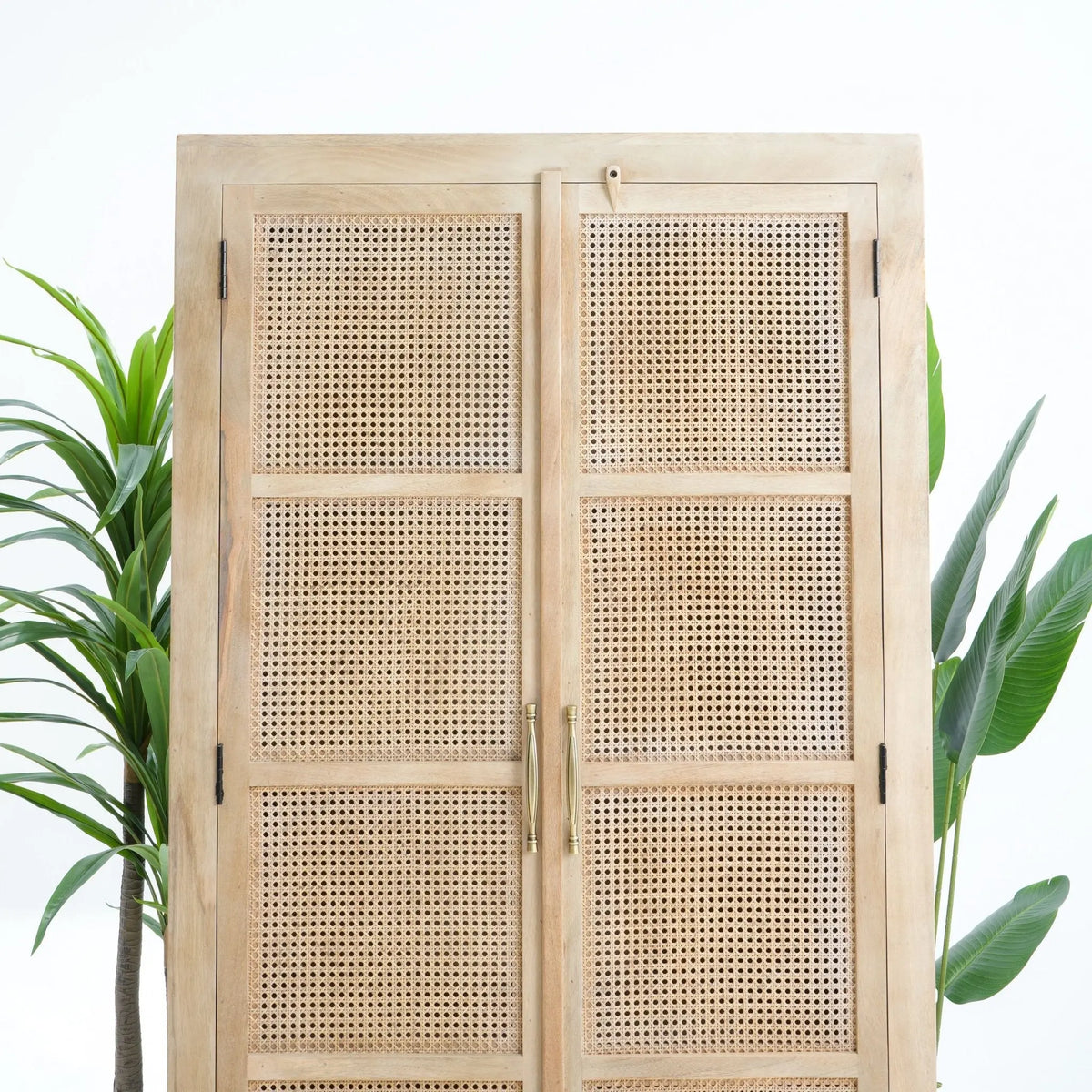 Canovia Rattan Mango wood Cabinet - Art and craft furniture