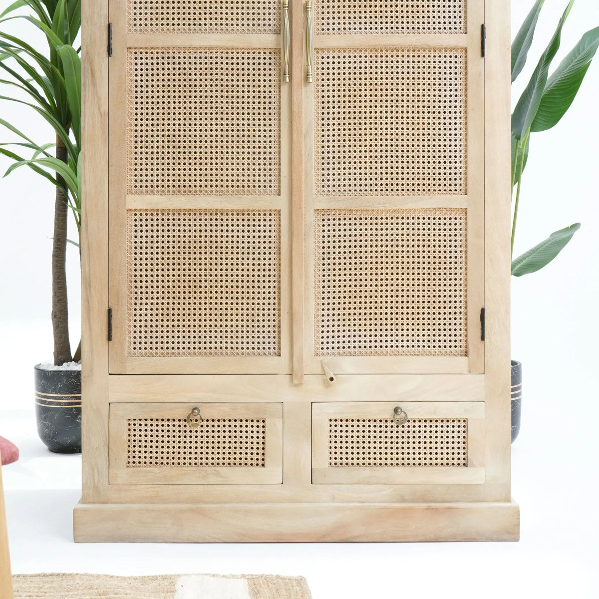 Canovia Rattan Mango wood Cabinet - Art and craft furniture
