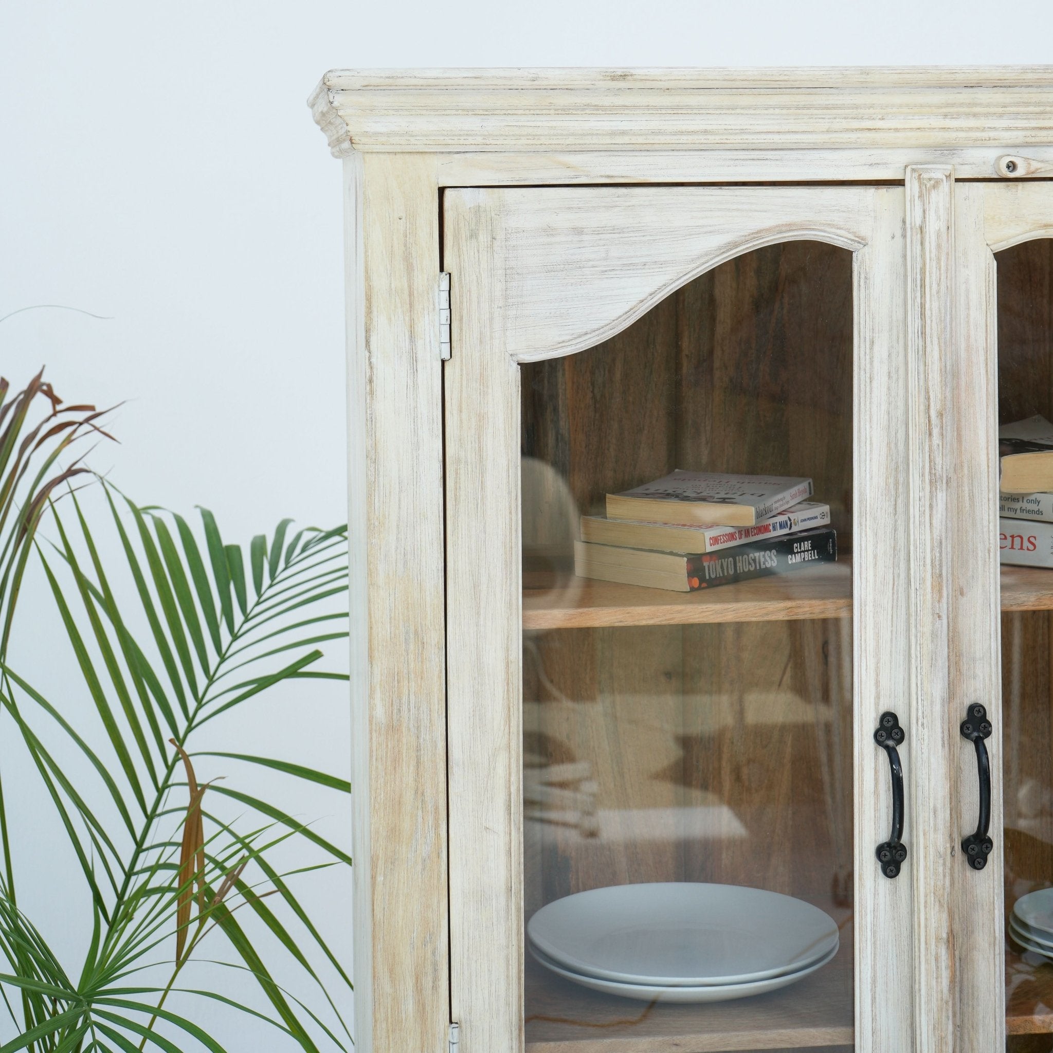 CHARM GLASS DOOR MANGO WOOD CARVED CABINET - Art and craft furniture