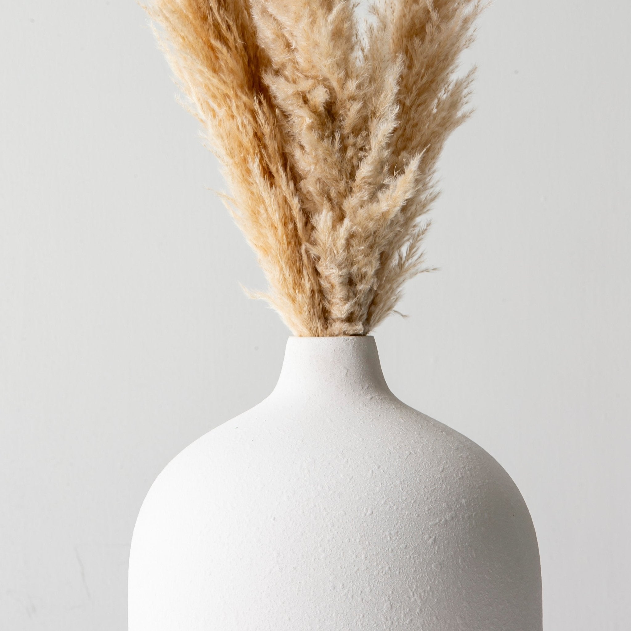 Dried Natural Flower Off White Long Pampas - Art and craft furniture