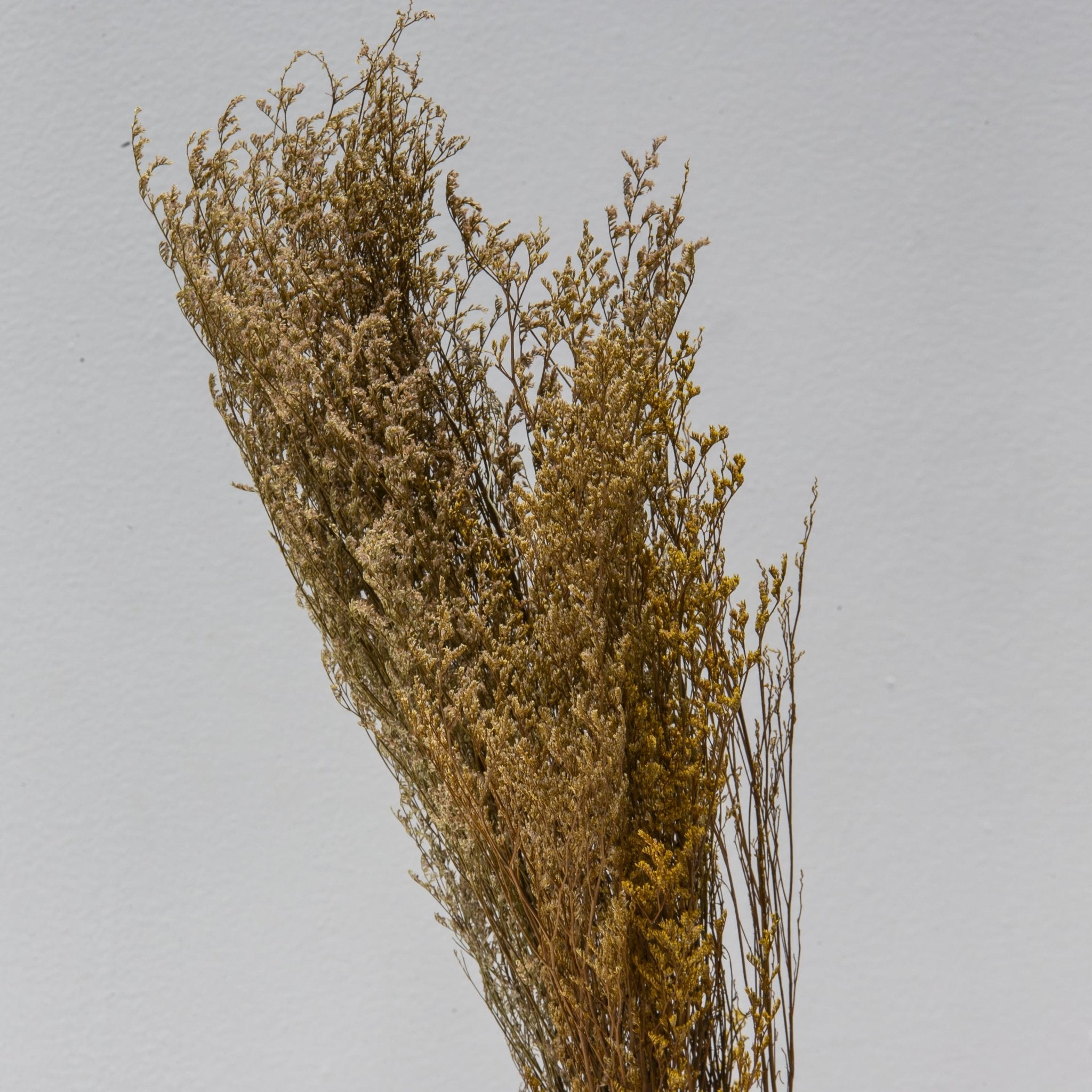 Dried Wild Grass Bunch - Art and craft furniture