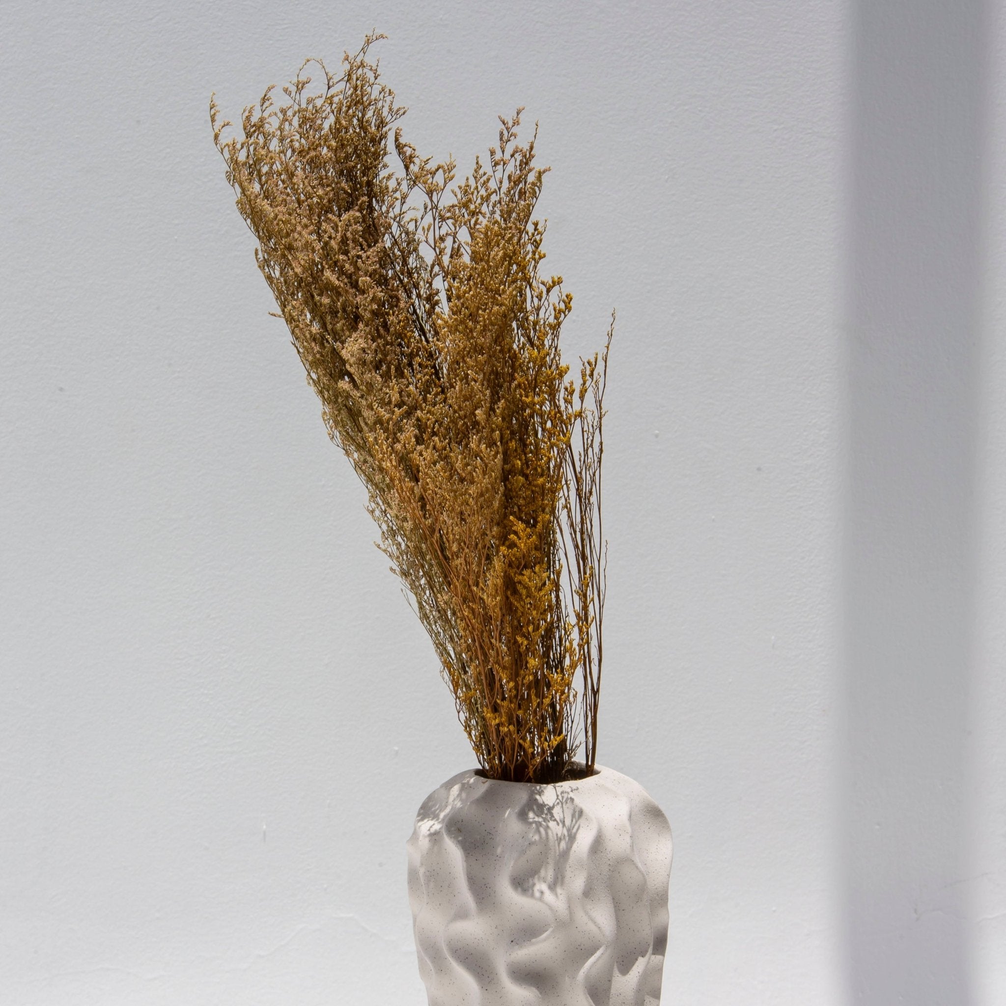 Dried Wild Grass Bunch - Art and craft furniture