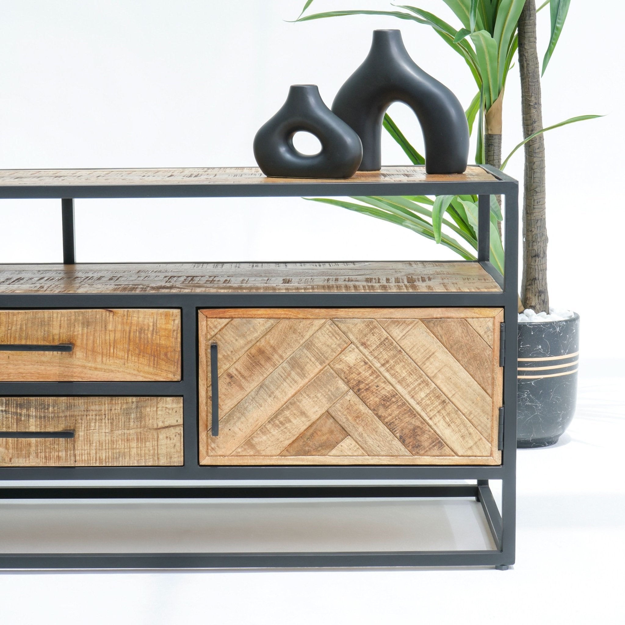 LINEA TWO DRAWER TWO DOOR TV STAND - Art and craft furniture