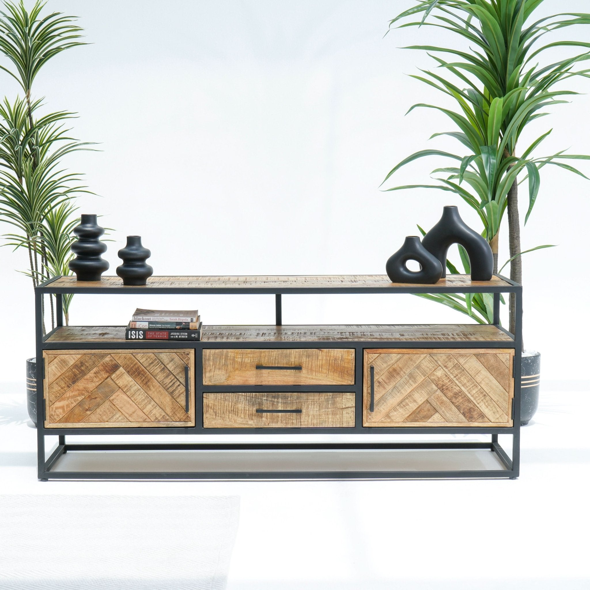 LINEA TWO DRAWER TWO DOOR TV STAND - Art and craft furniture