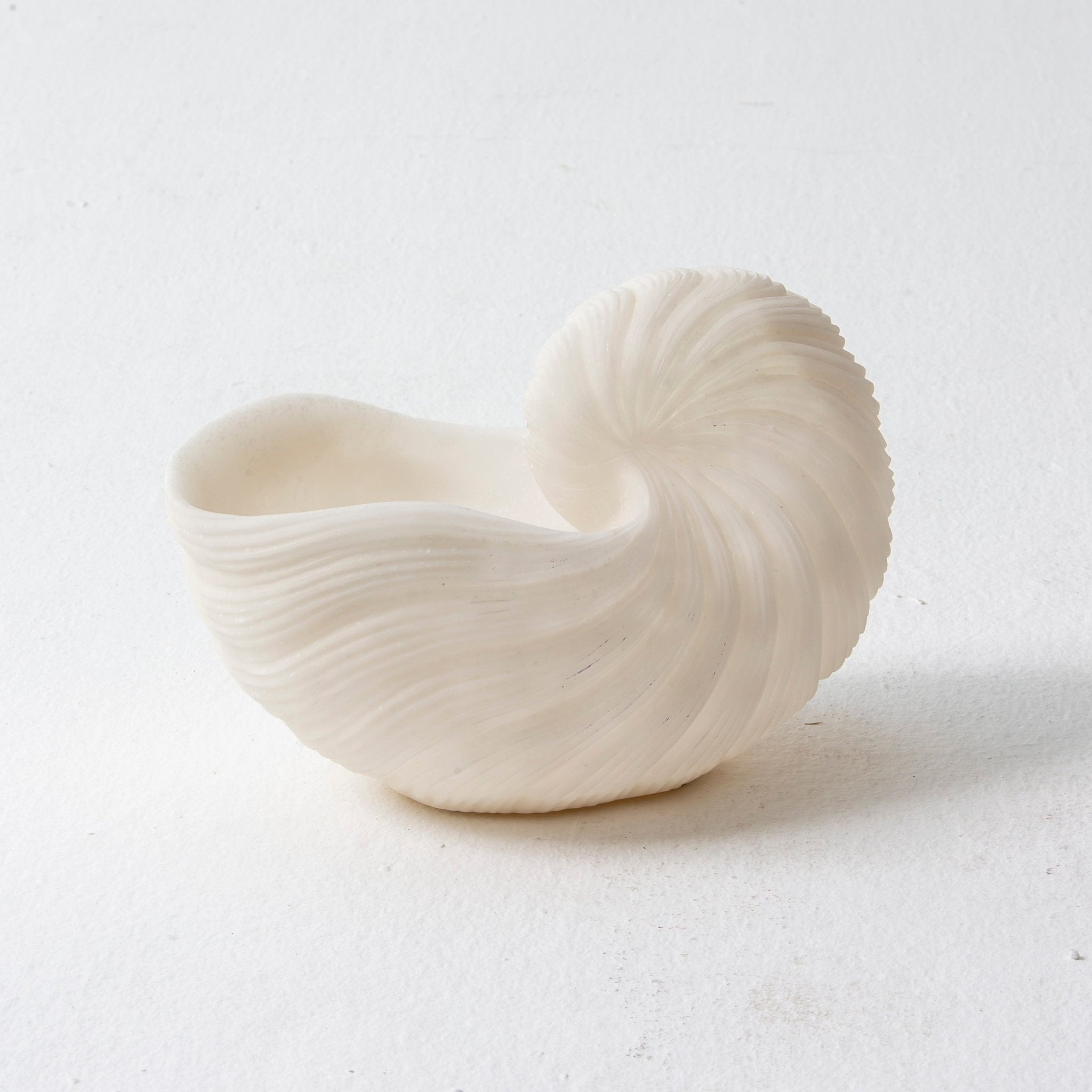 Nautila Shell Bowl - Art and craft furniture