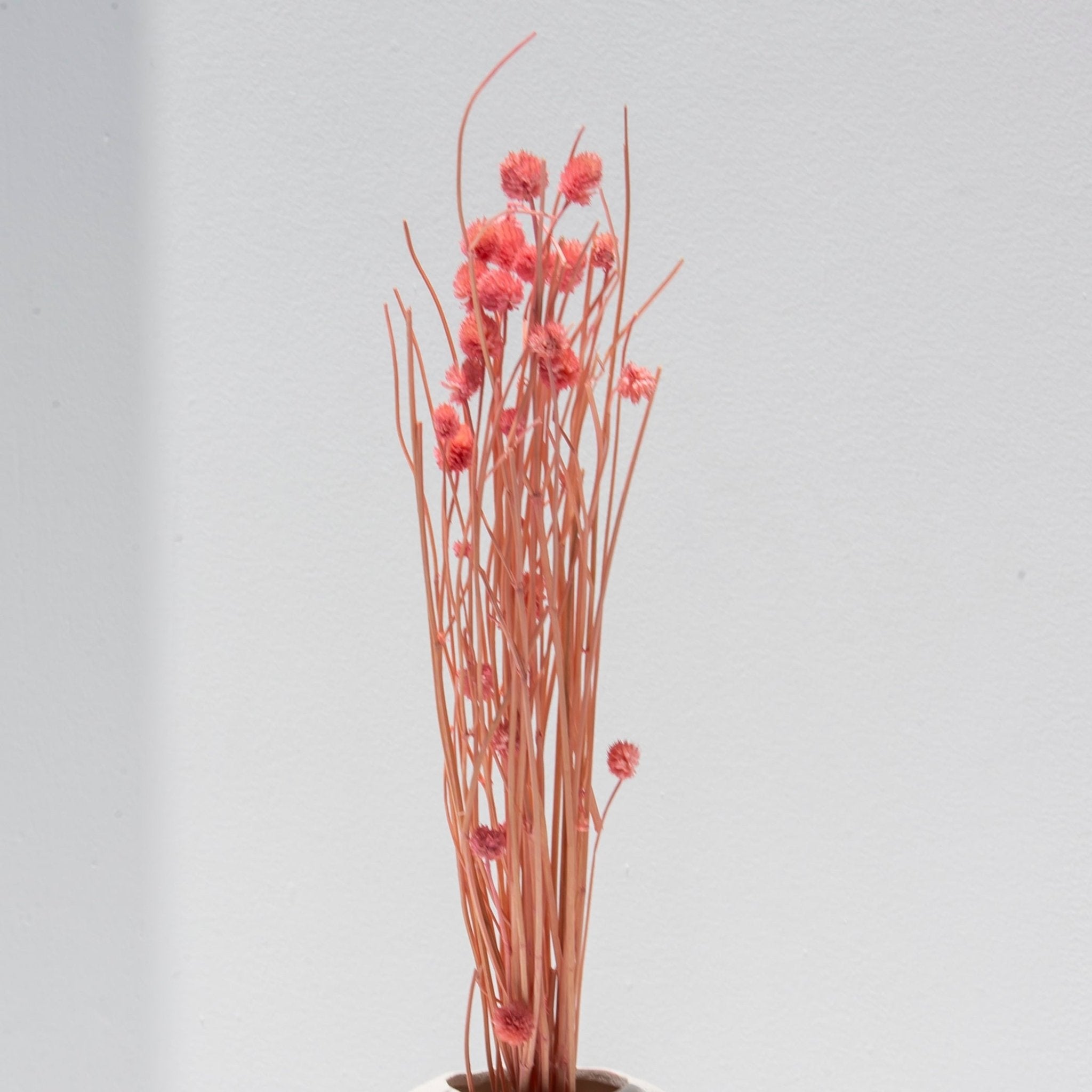 PEACH DRIED STICKS WITH BUDS - Art and craft furniture