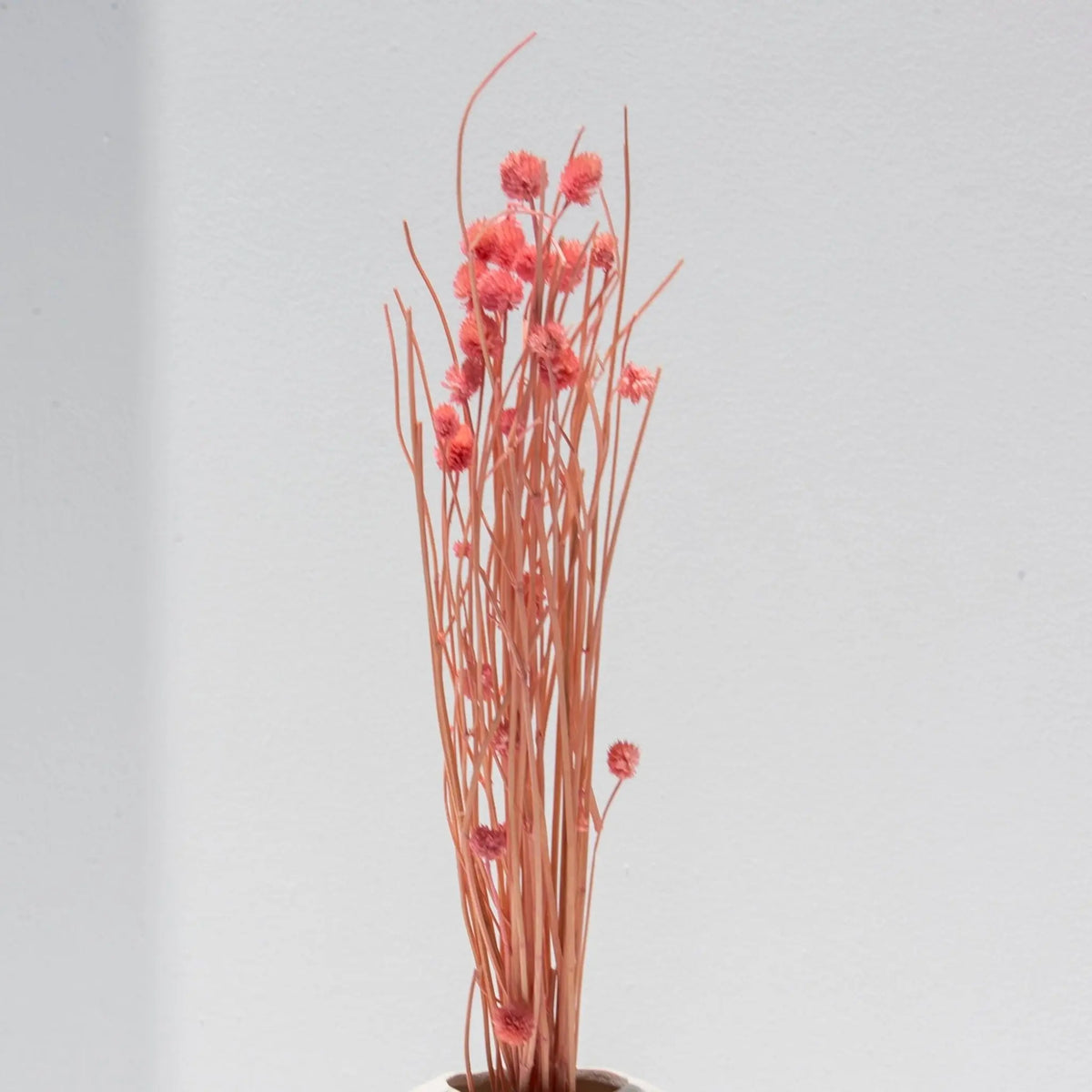 Peach Dried Stick With Buds - Art and craft furniture