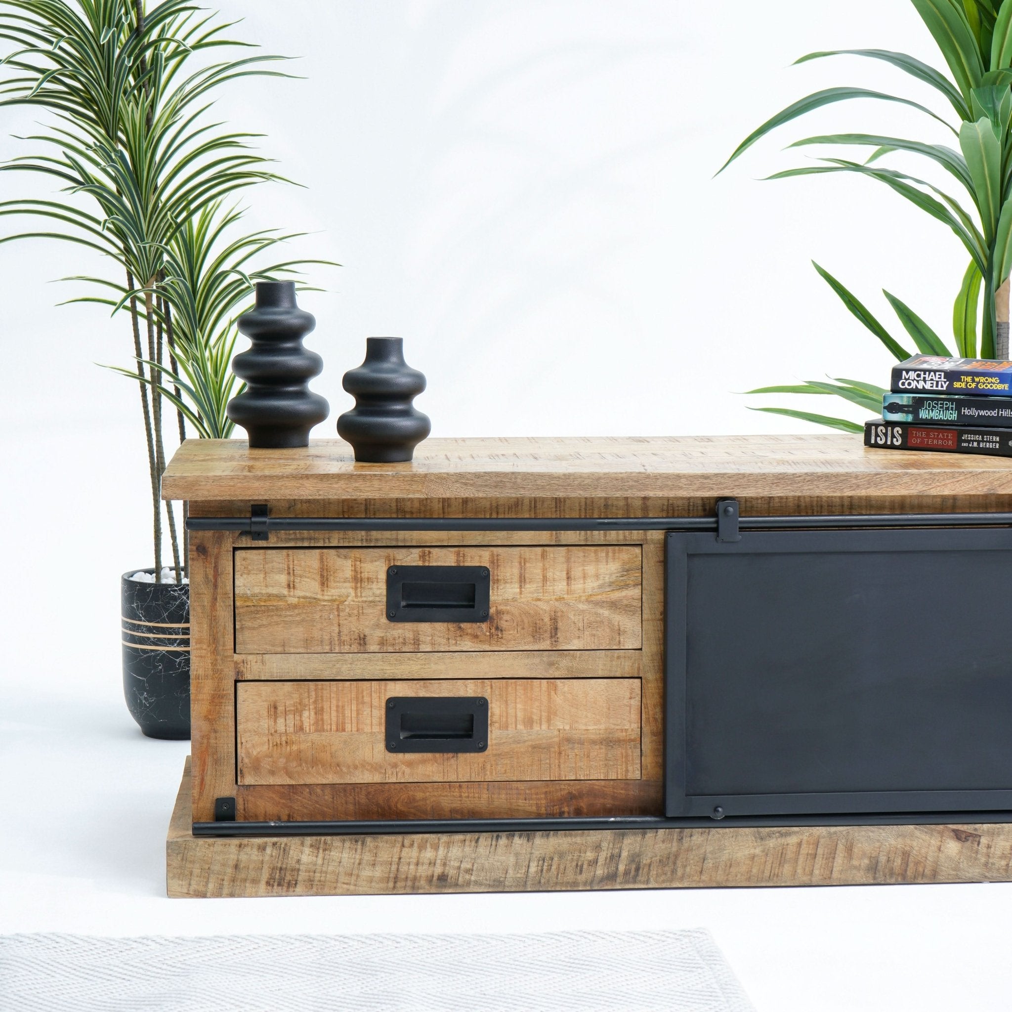RAWDEN TWO DRAWER ONE DOOR TV STAND - Art and craft furniture