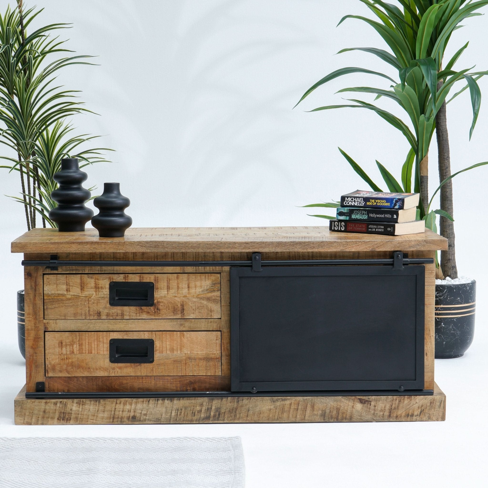 RAWDEN TWO DRAWER ONE DOOR TV STAND - Art and craft furniture
