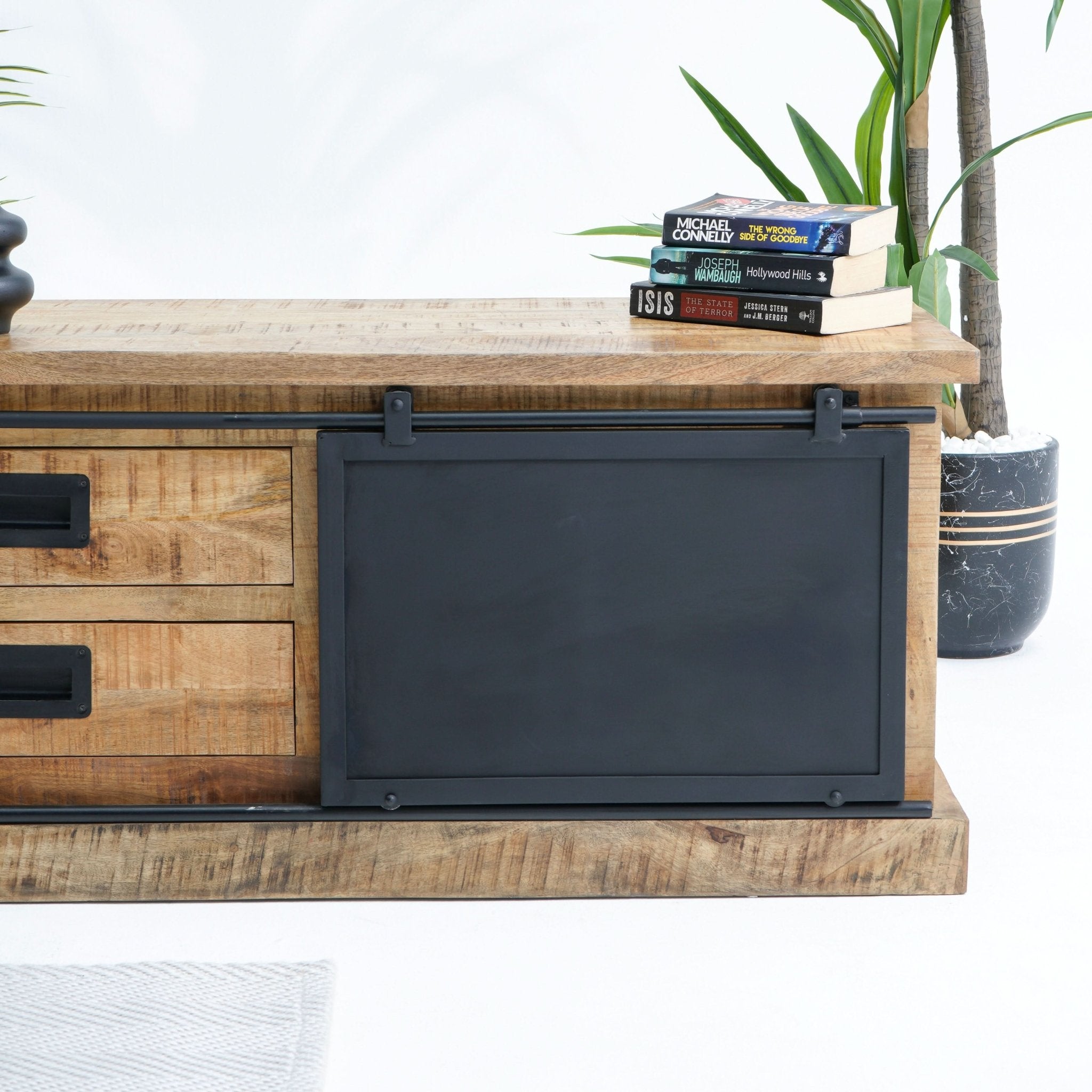 RAWDEN TWO DRAWER ONE DOOR TV STAND - Art and craft furniture