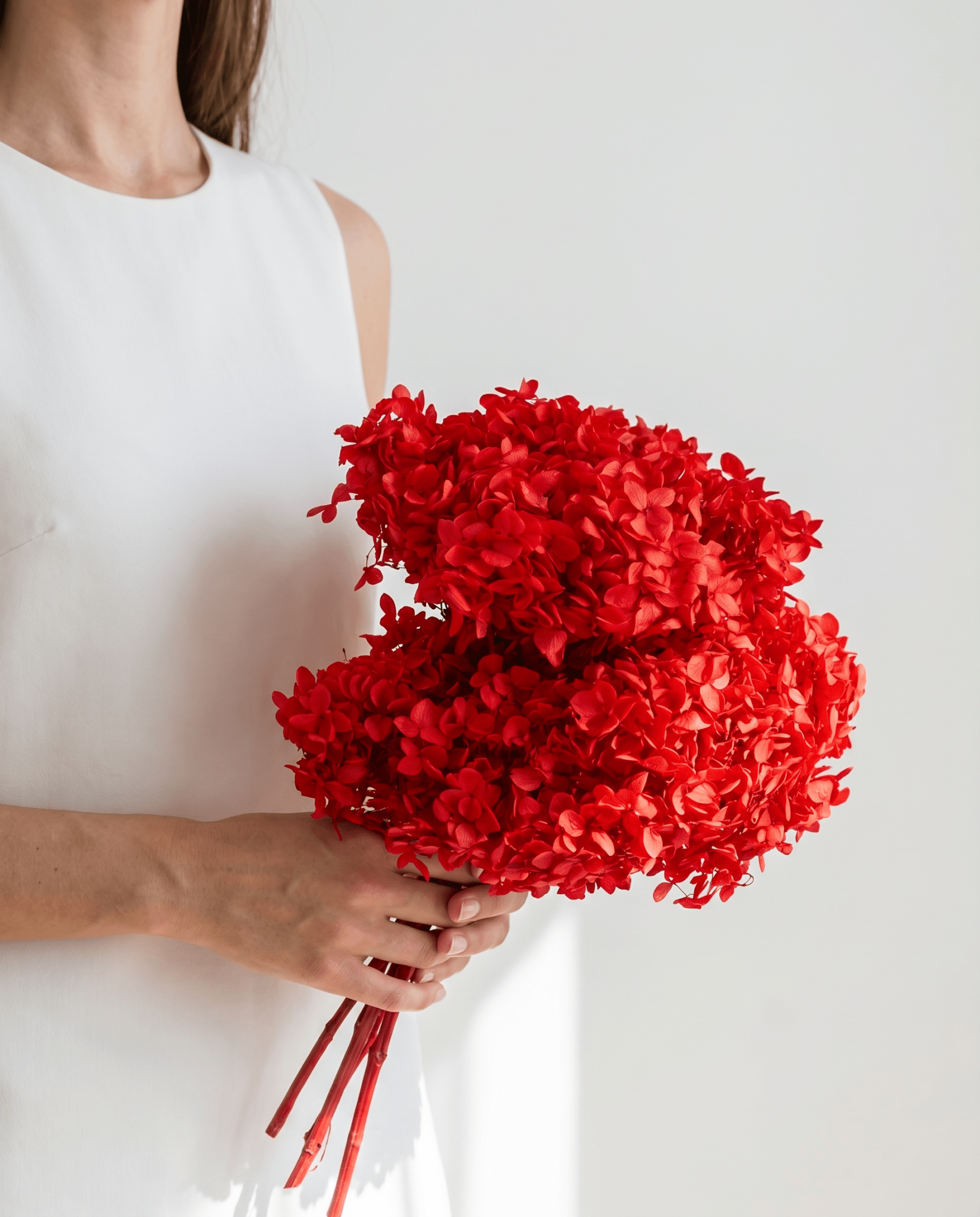 Red Blossom Bush Dried Flowers - Art and craft furniture