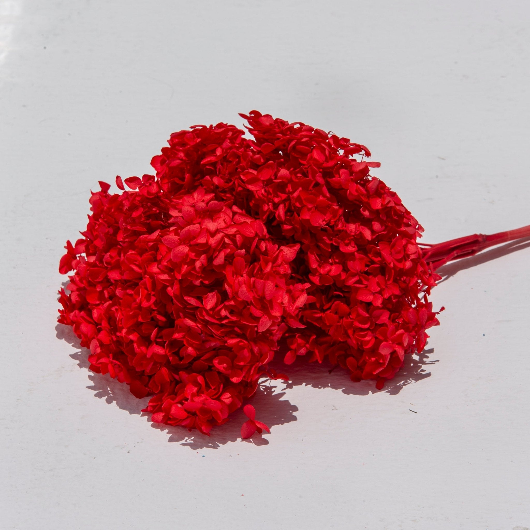 Red Blossom Bush Dried Flowers - Art and craft furniture