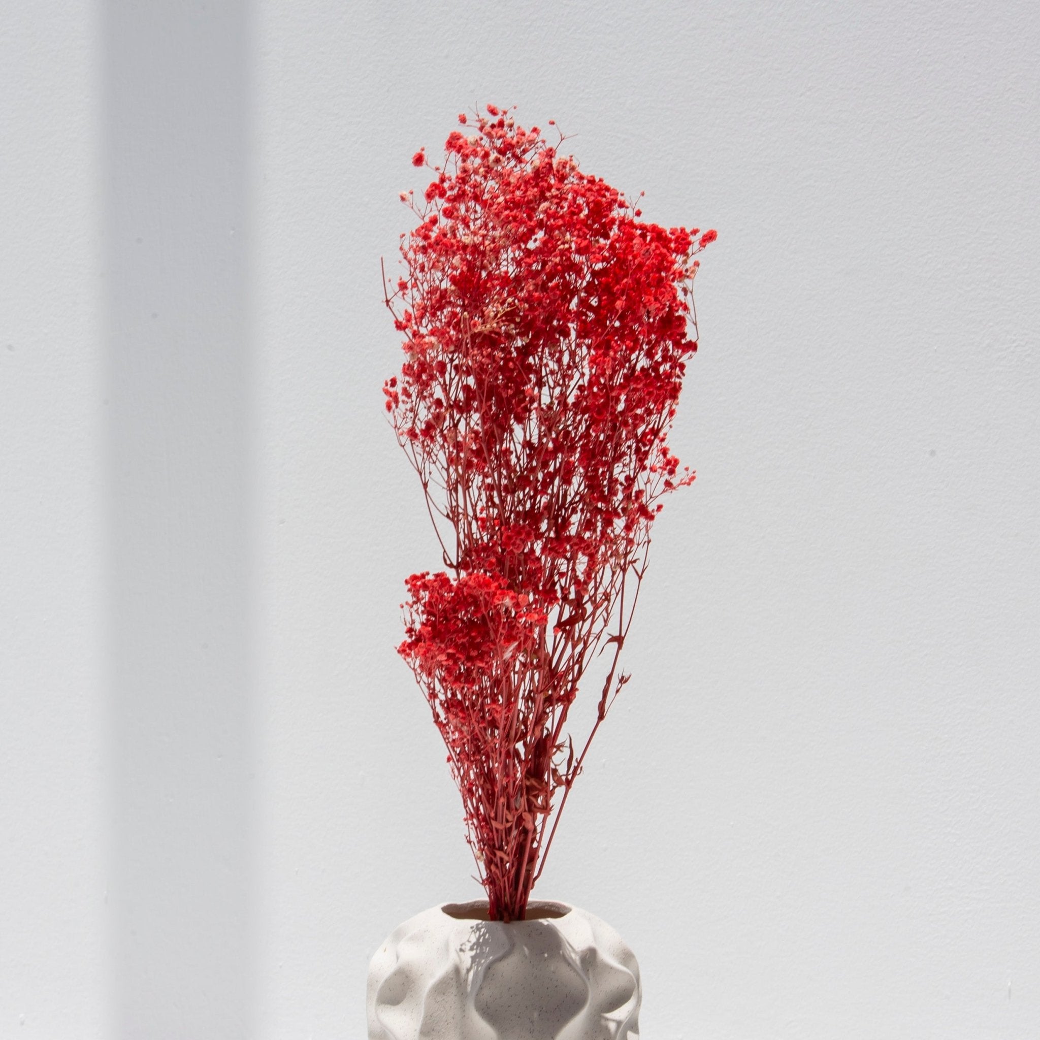 Red Decorative Bunch Dried Flowers - Art and craft furniture