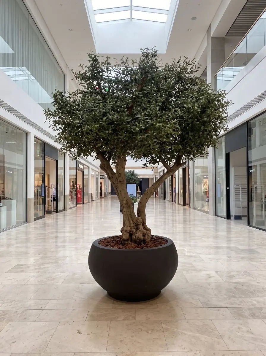 Artificial XL Plant & Pot | Luxury Home Décor UAE – Page 2