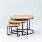 MANGOEDGE WOODEN SET OF THREE COFFEE TABLE - Art and craft furniture 