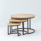 MANGOEDGE WOODEN SET OF THREE COFFEE TABLE - Art and craft furniture 