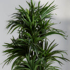ARTIFICIAL DRACAENA LUSH PLANT - Art and craft furniture 