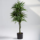 ARTIFICIAL DRACAENA LUSH PLANT - Art and craft furniture 