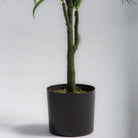 ARTIFICIAL DRACAENA LUSH PLANT - Art and craft furniture 