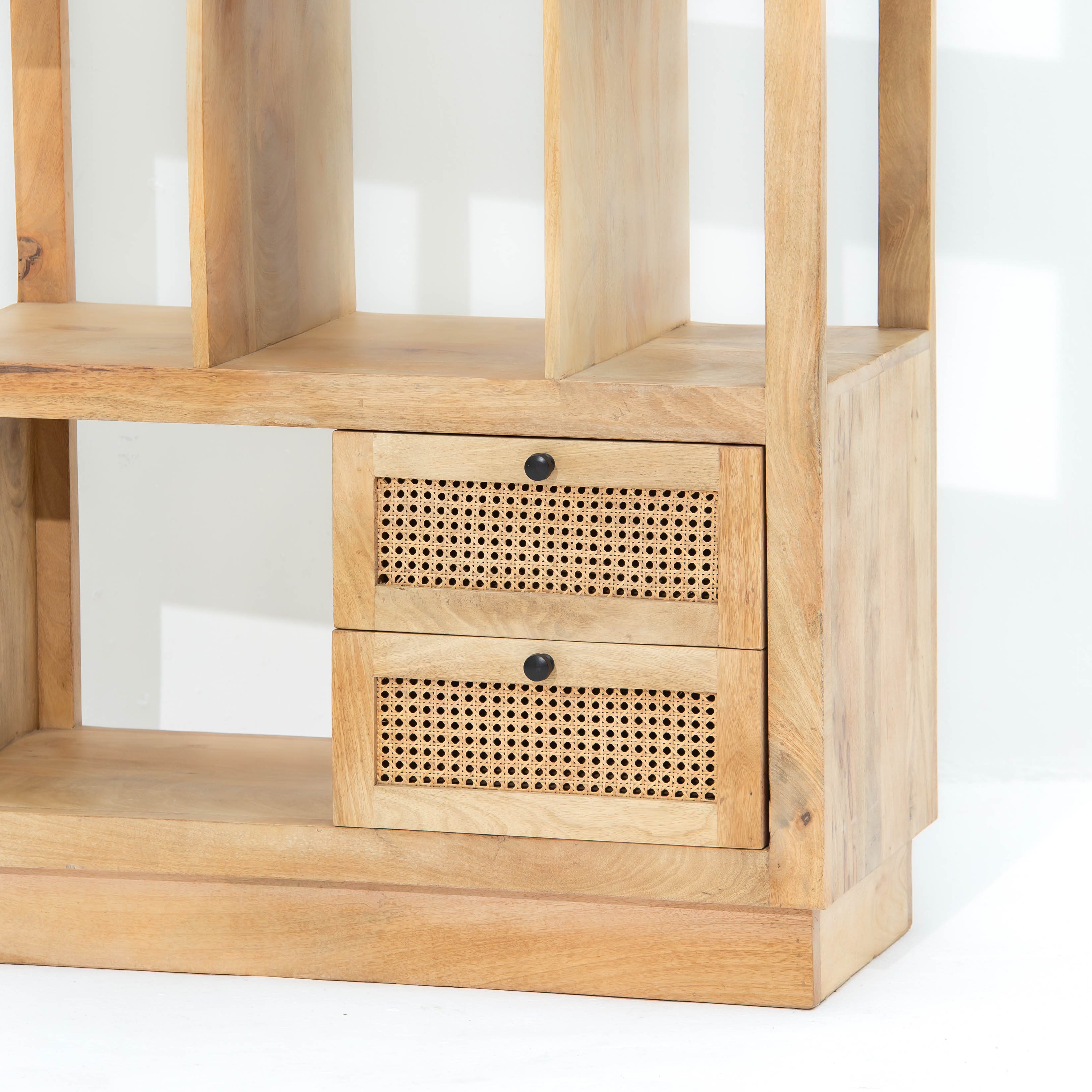 CANOVIA CANE FTD BOOKSHELF